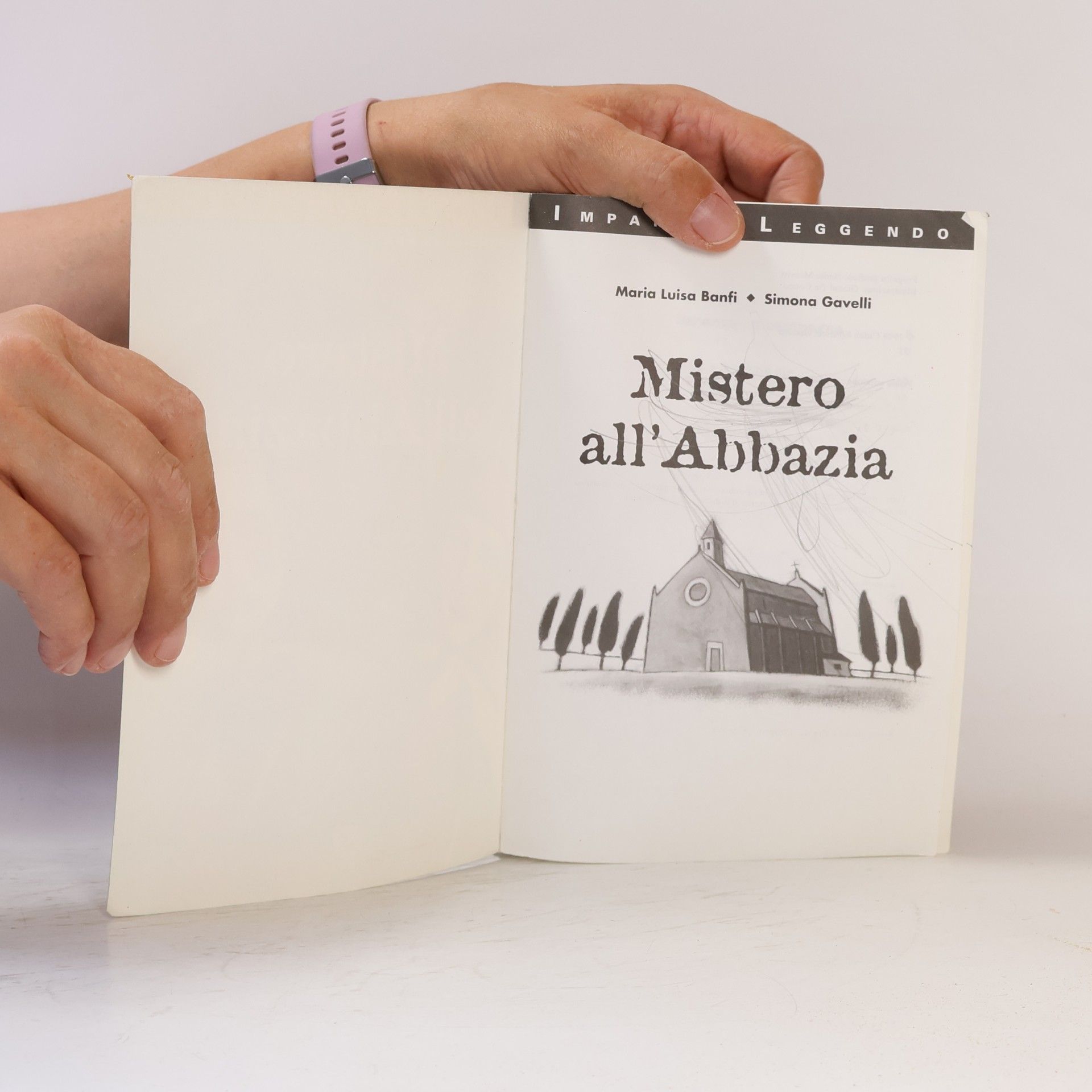 Maria Luisa Banfi Mistero all'Abbazia