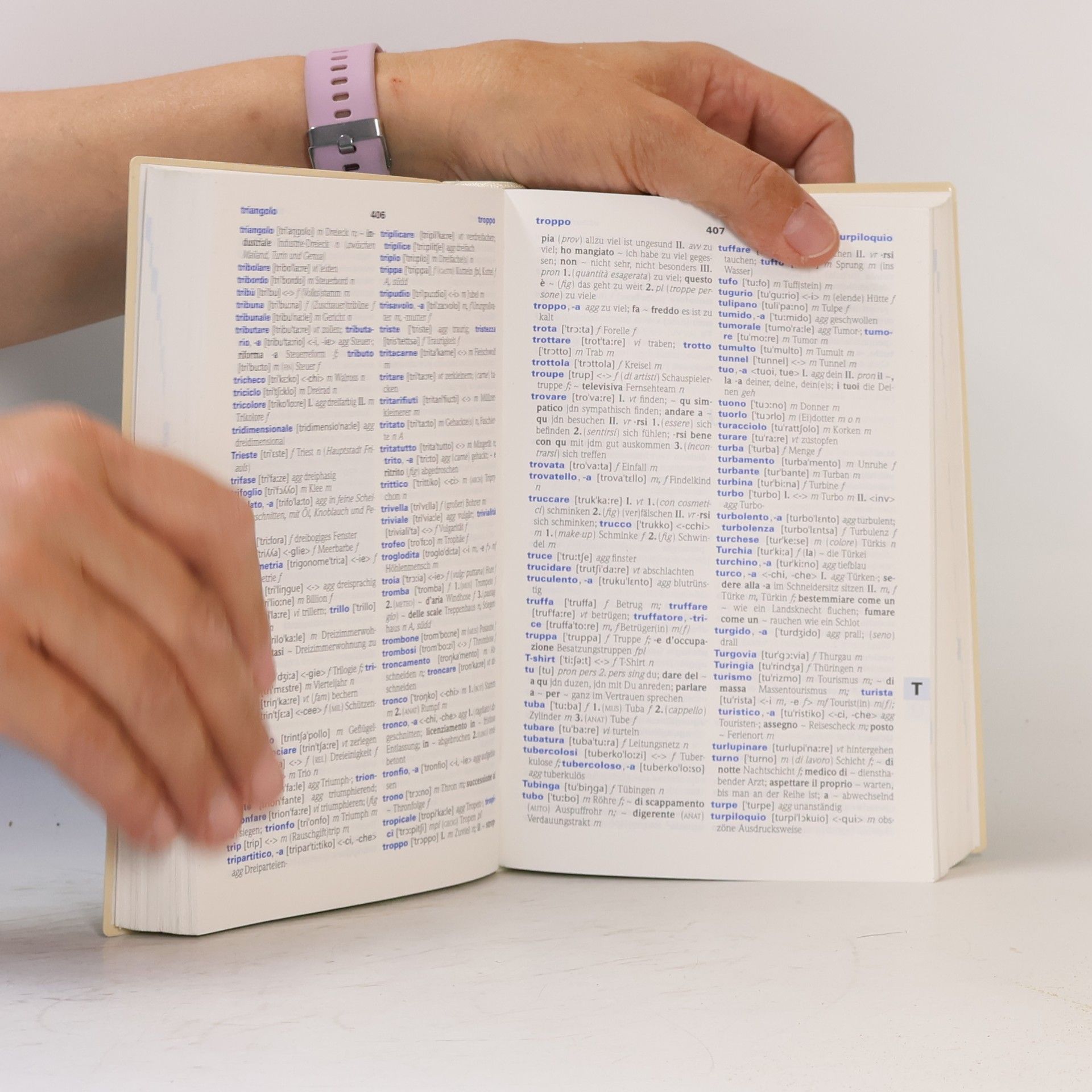 Anna Dal Negro PONS Standardwörterbuch