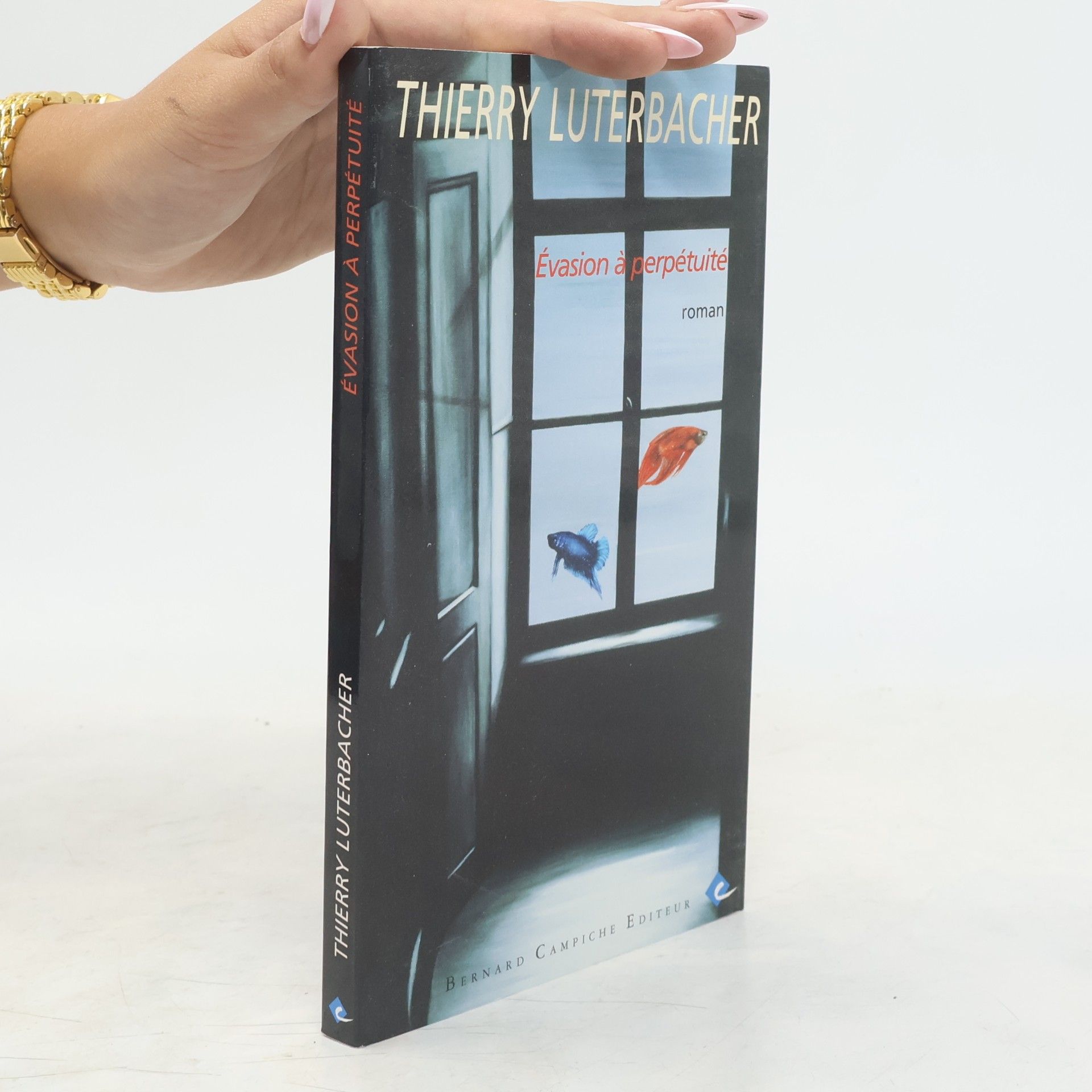 Thierry Luterbacher evasion a perpetuite