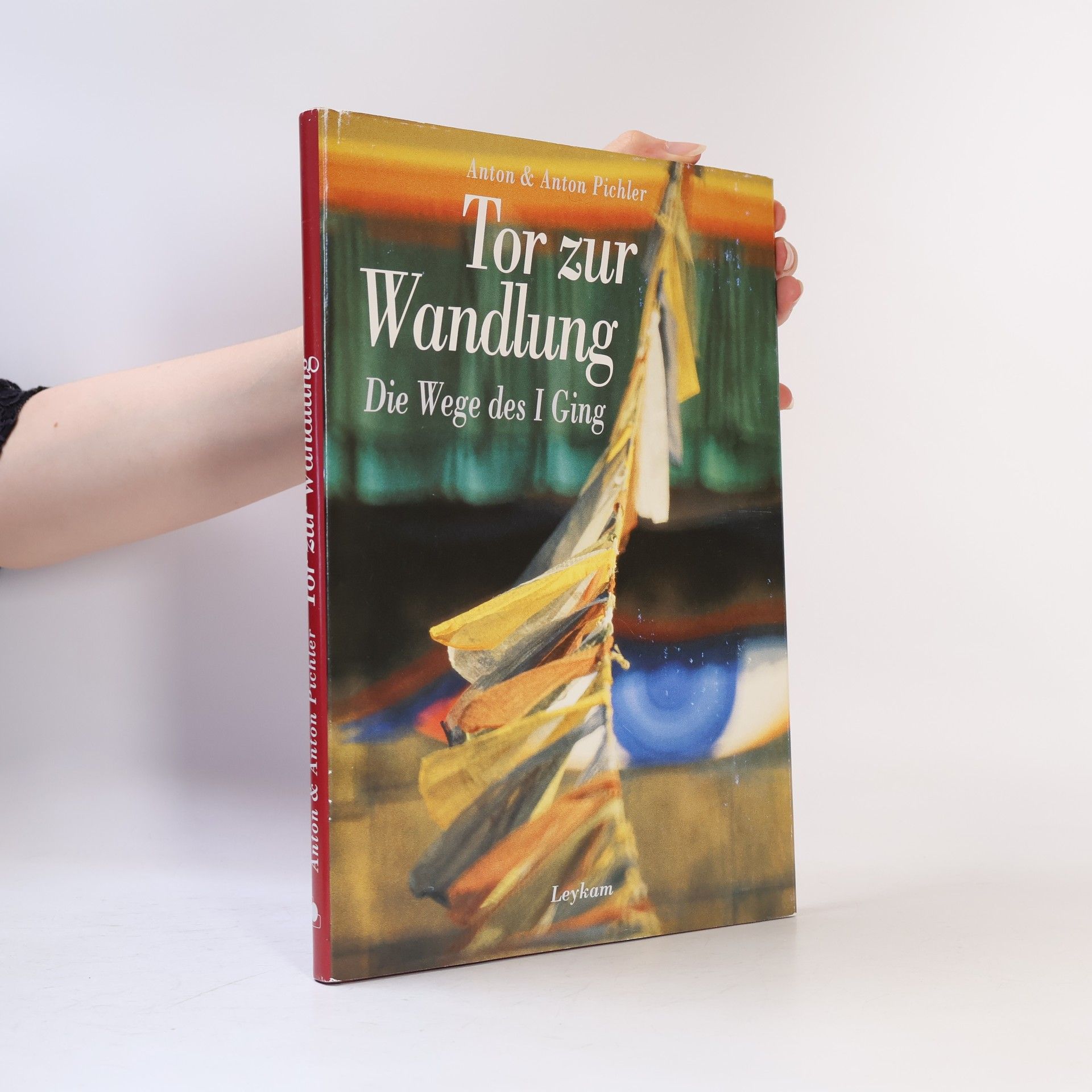 Anton Pichler Tor zur Wandlung
