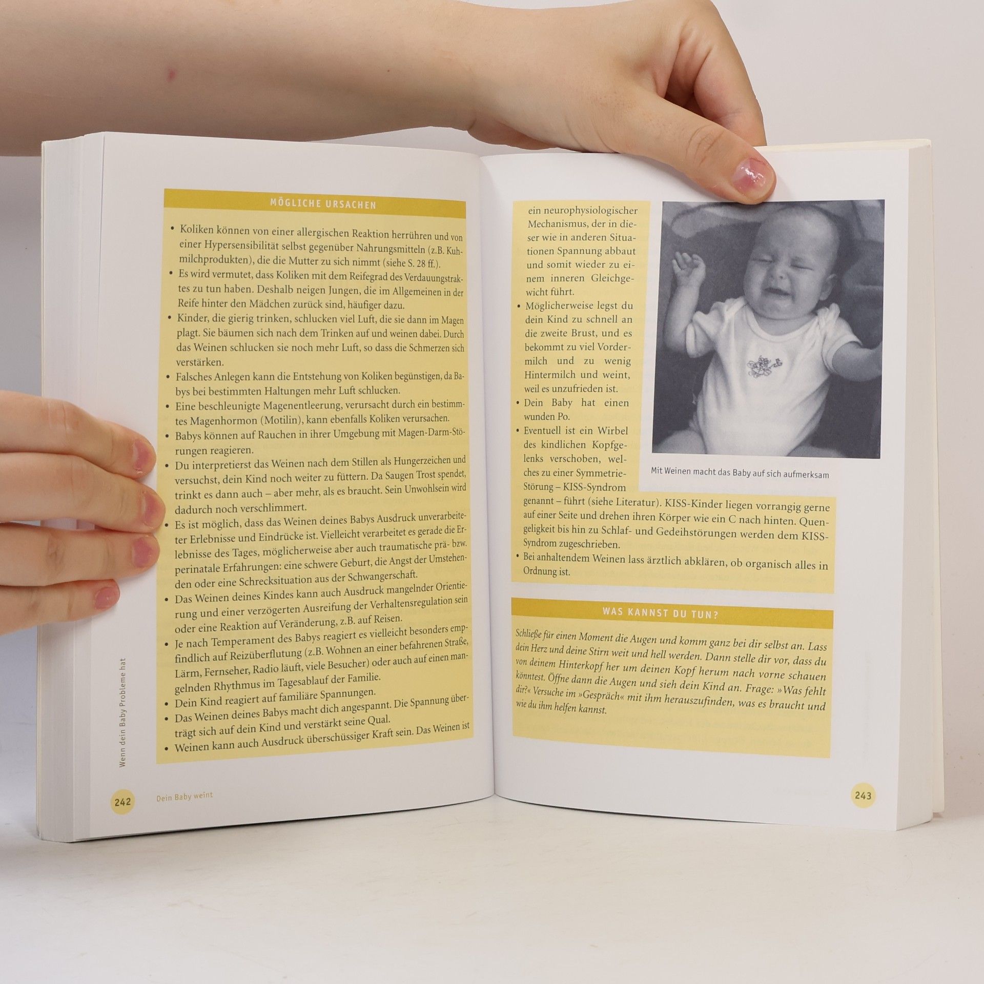 Hanny Lothrop Das Stillbuch