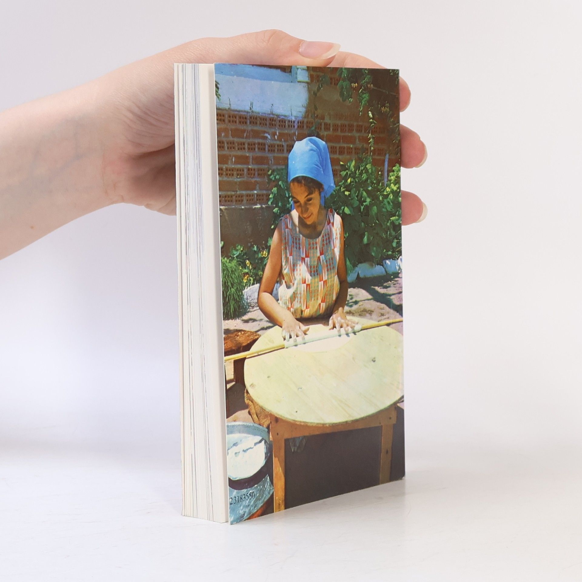 Chrissa Paradissis Das beste Kochbuch der Griechischen Kueche