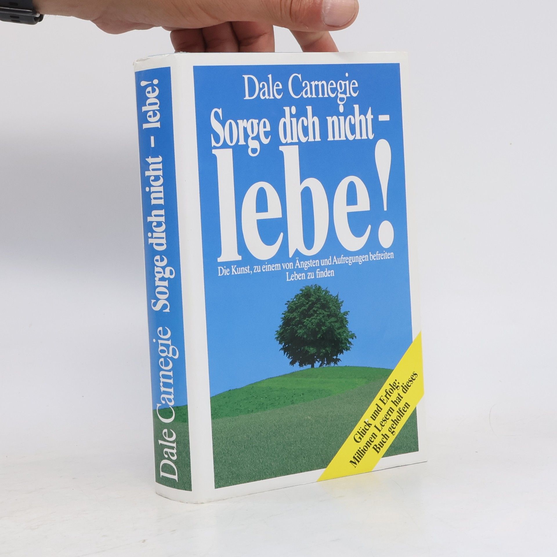 Dale Carnegie Sorge dich nicht - lebe!