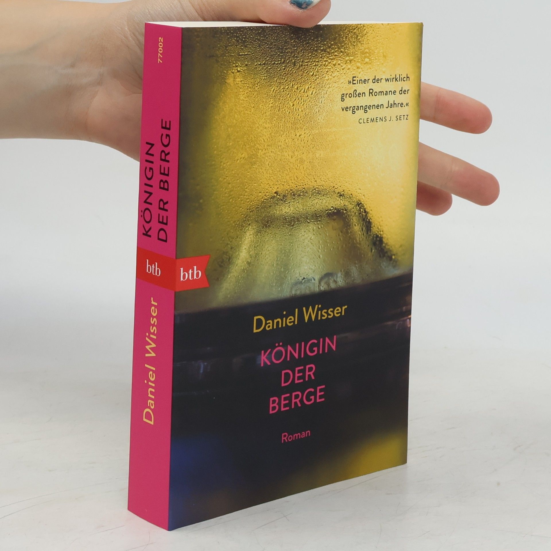 Daniel Wisser Königin der Berge