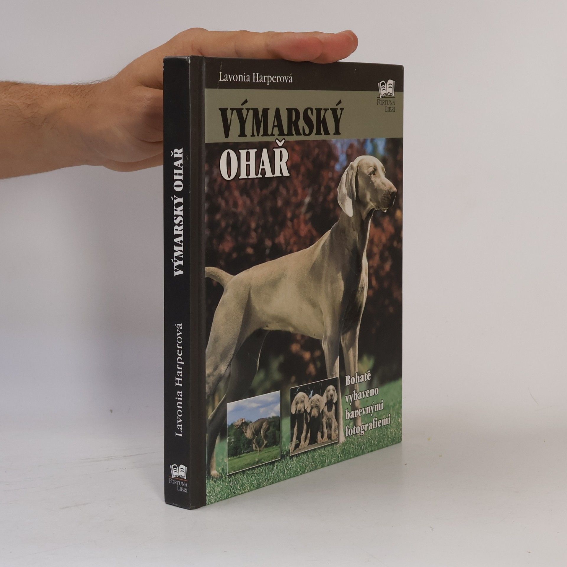 Lavonia Harper Výmarský ohař