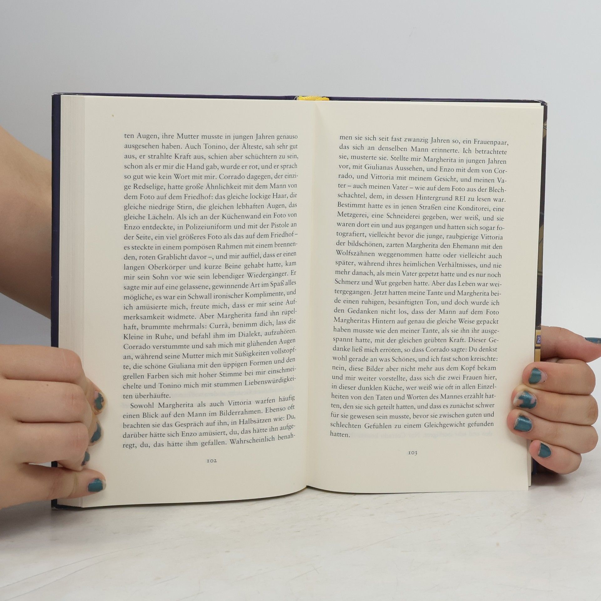 Elena Ferrante Das lügenhafte Leben der Erwachsenen