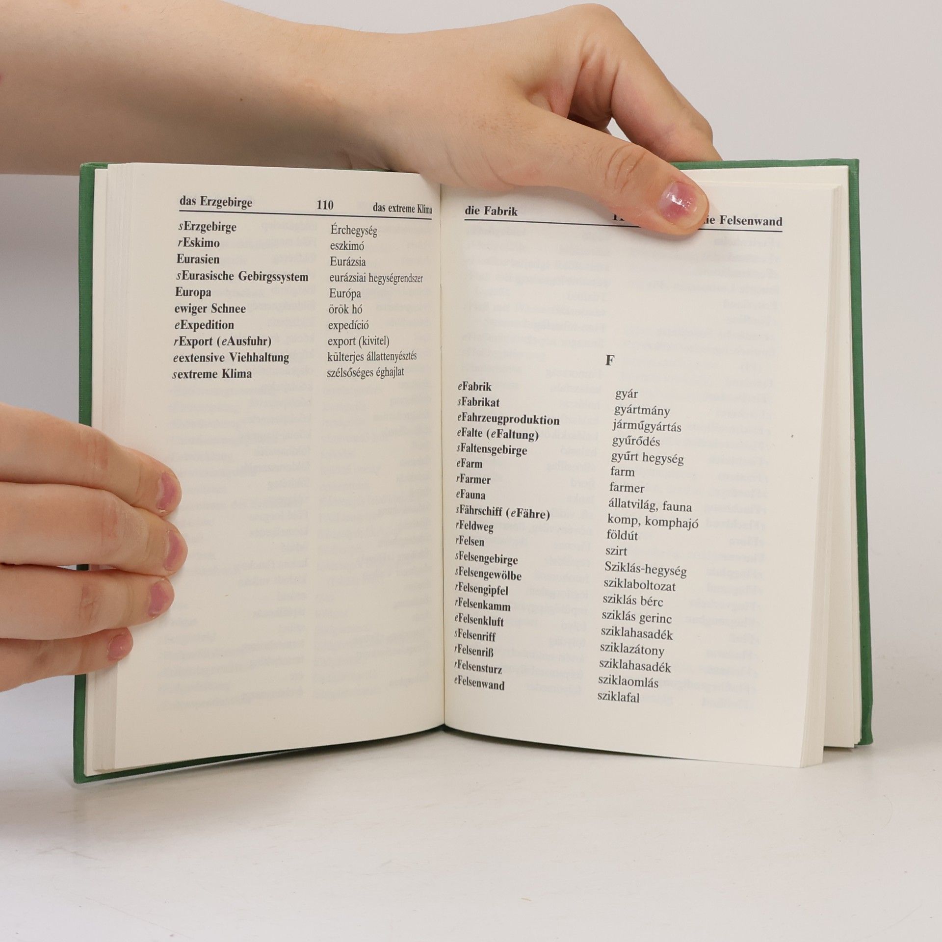 Autorenkollektiv Földrajzi szakkifejezések gyűjteménye. Geographische wirtschaftskundliche und Fachausdrücke