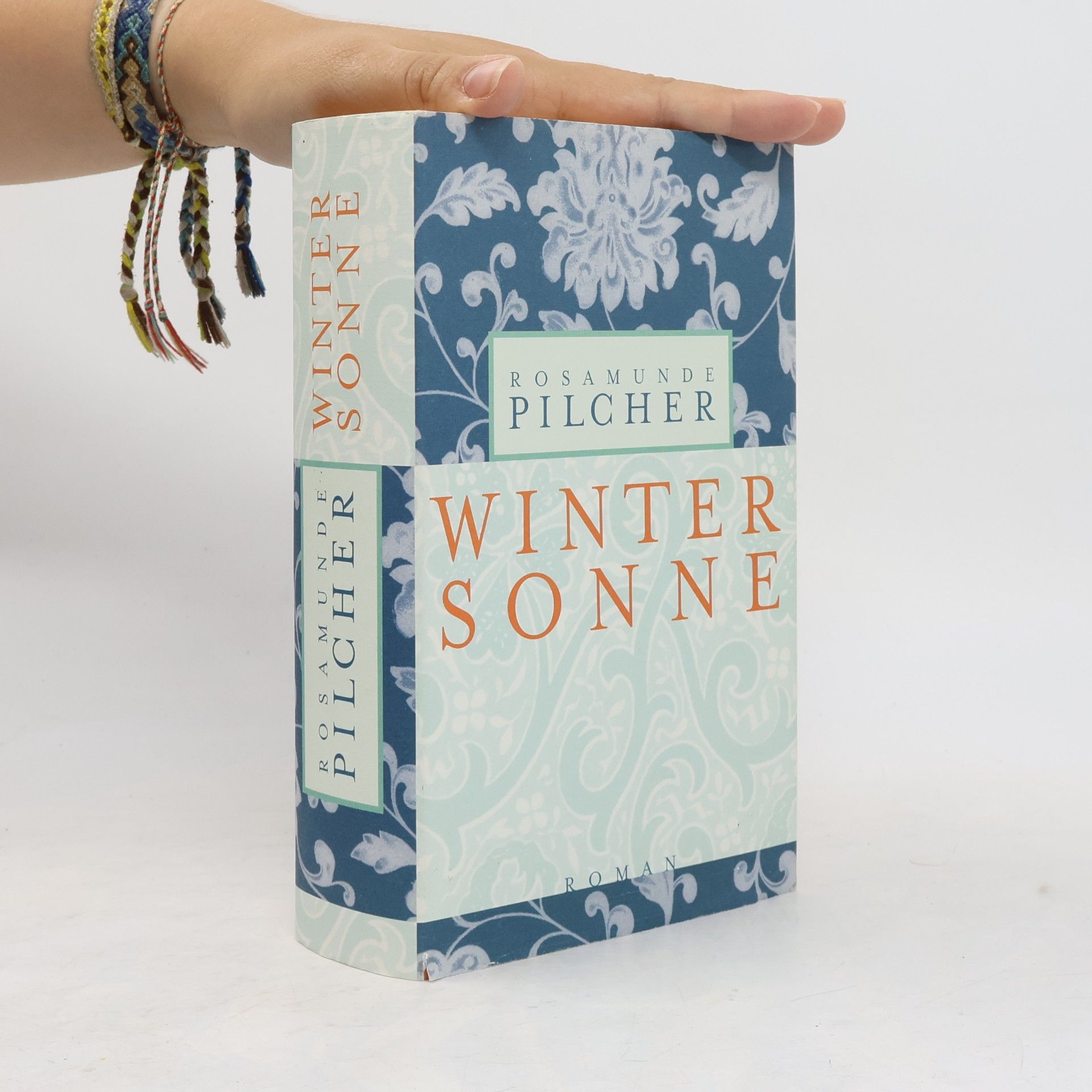 Rosamunde Pilcher Wintersonne