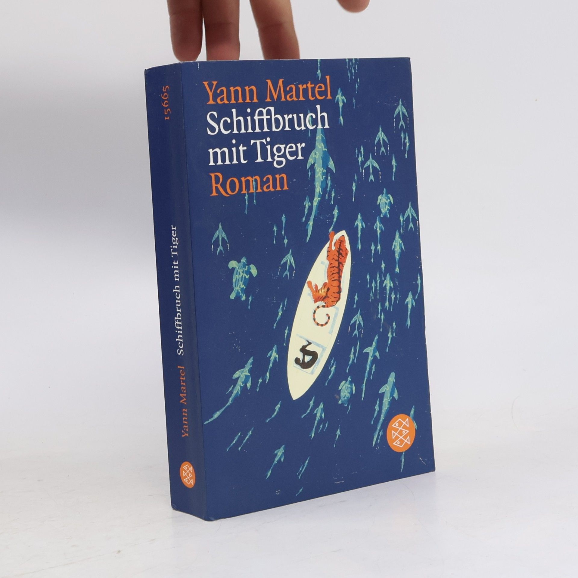 Yann Martel Schiffbruch mit Tiger