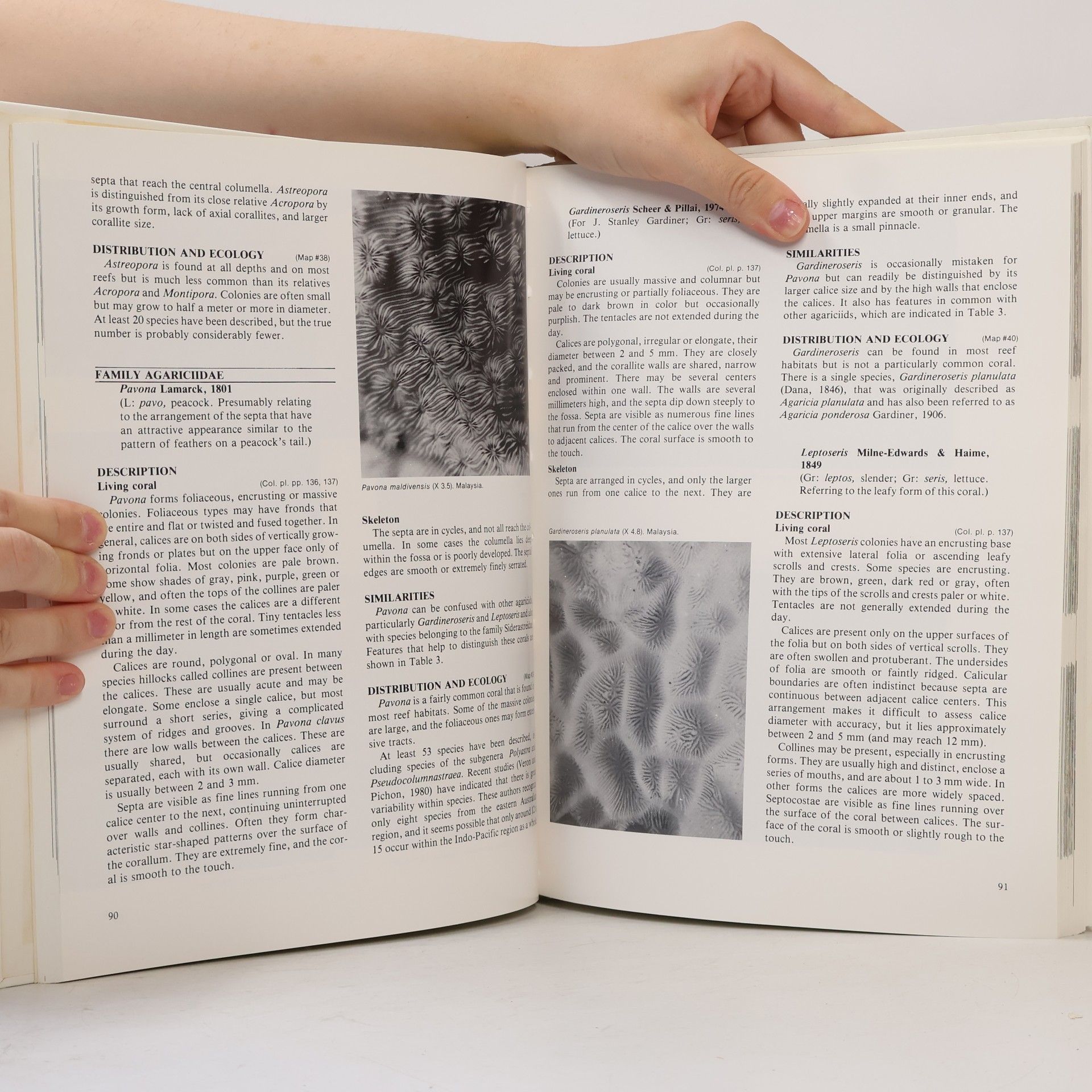 Elizabeth M. Wood Corals of the World