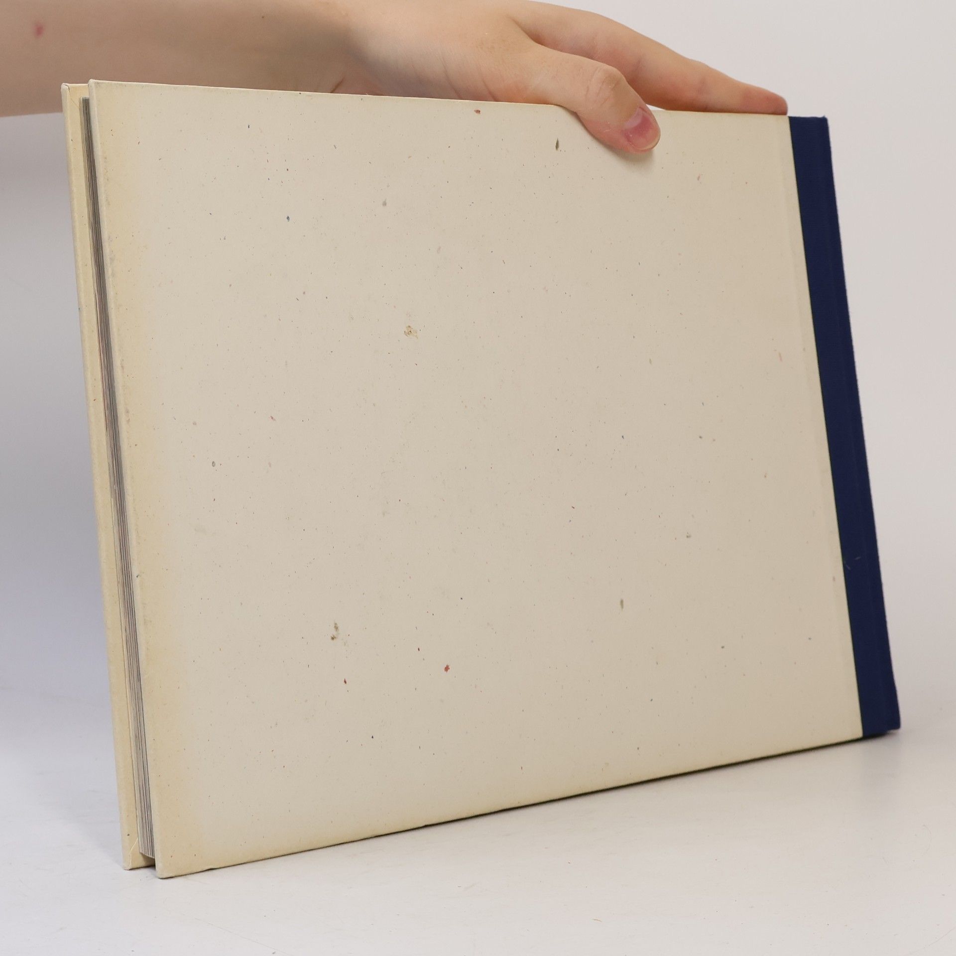 Autorenkollektiv Le Ricette di Giuliana 2