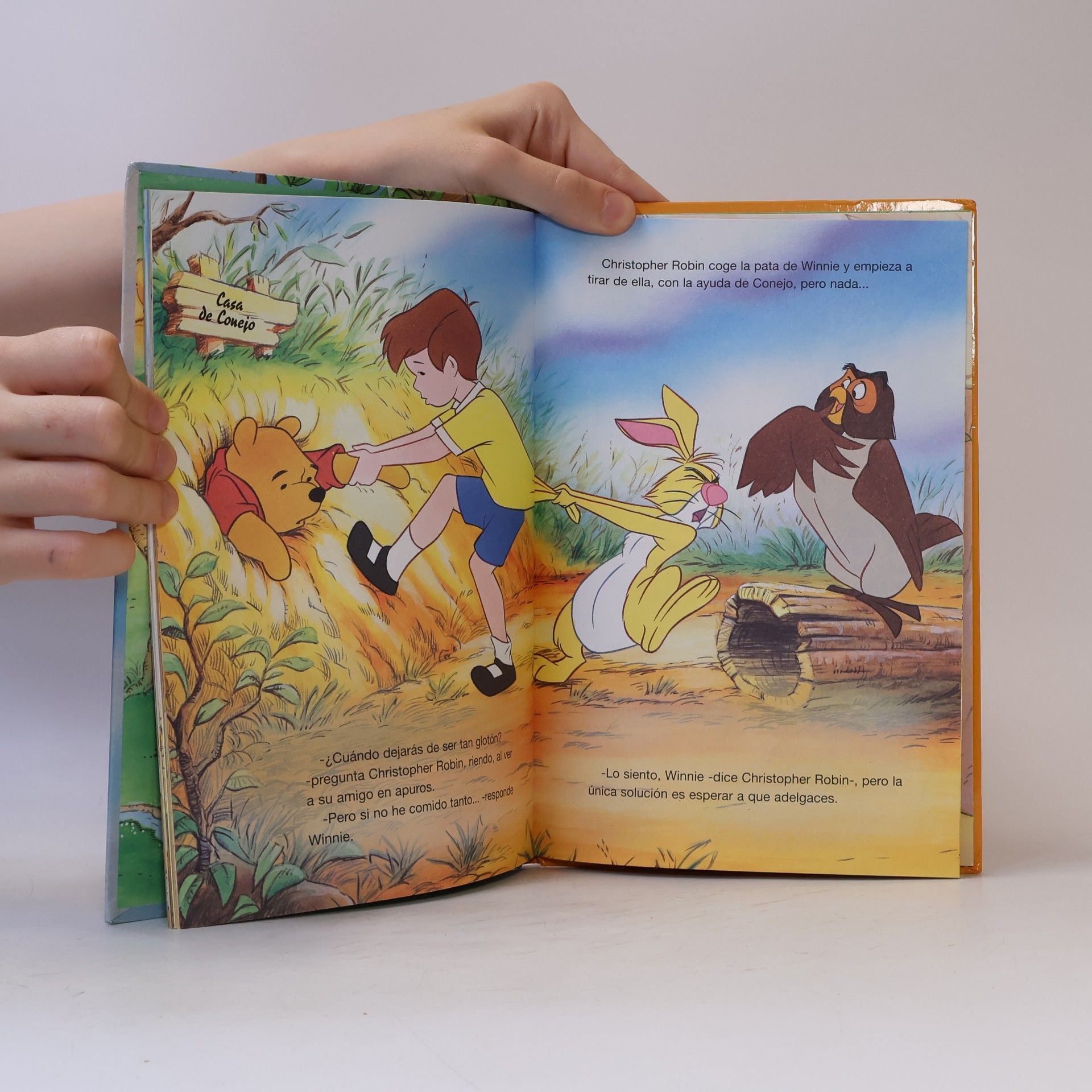 Winnie the Pooh y el árbol de la miel 1ºed