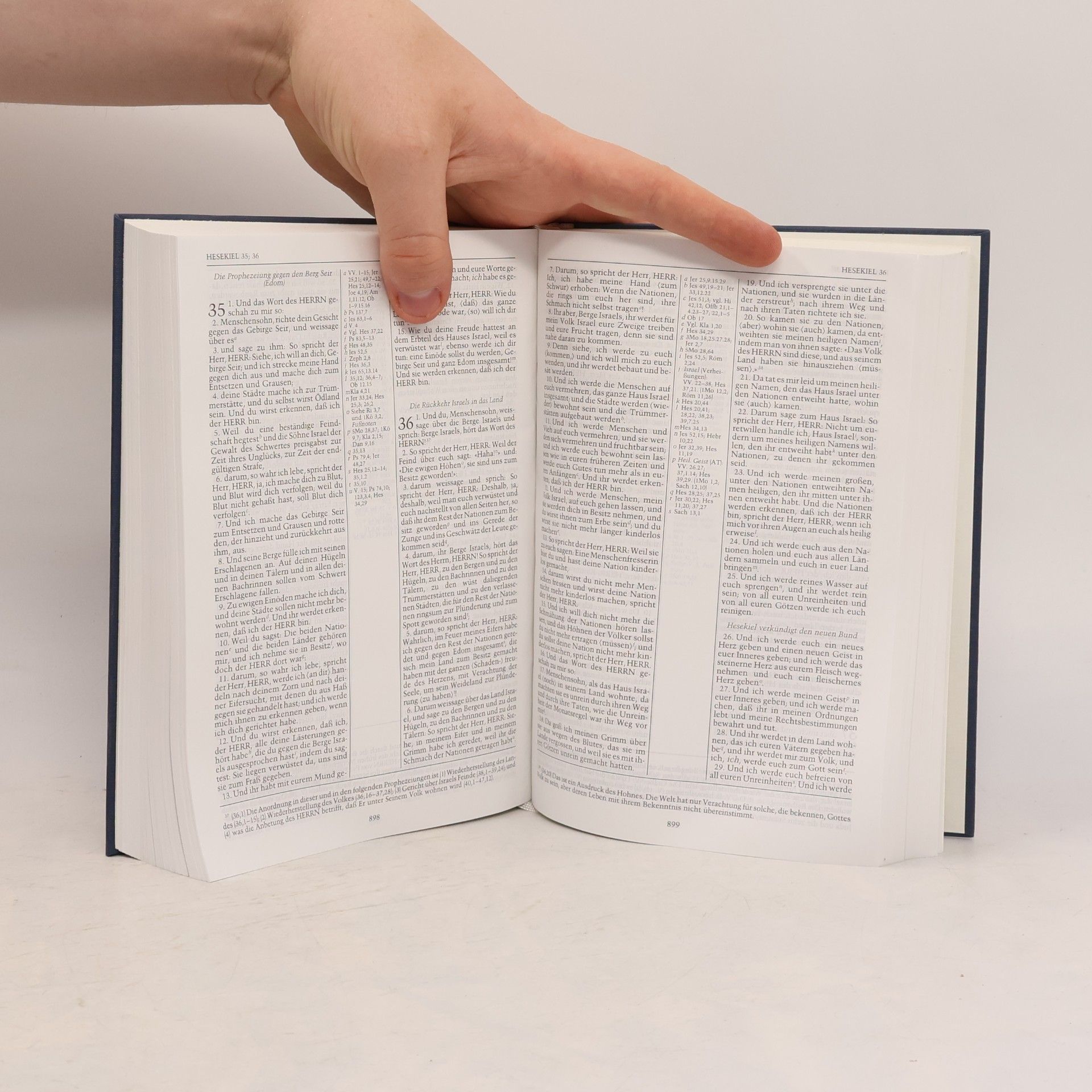 Kolektiv autorů Scofield Bibel: Revidierte Elberfelder Übersetzung