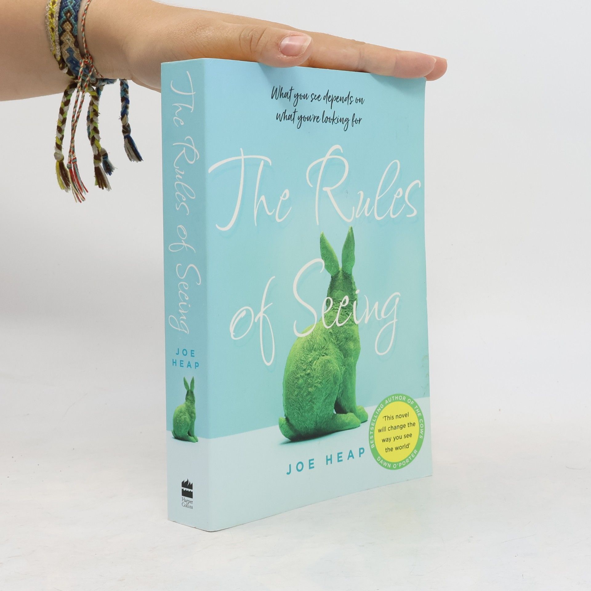 Dawn O. Porter The Rules of Seeing