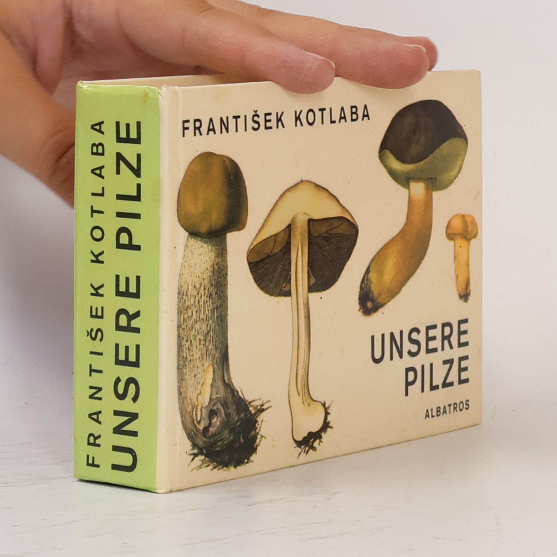 František Kotlaba Unsere Pilze