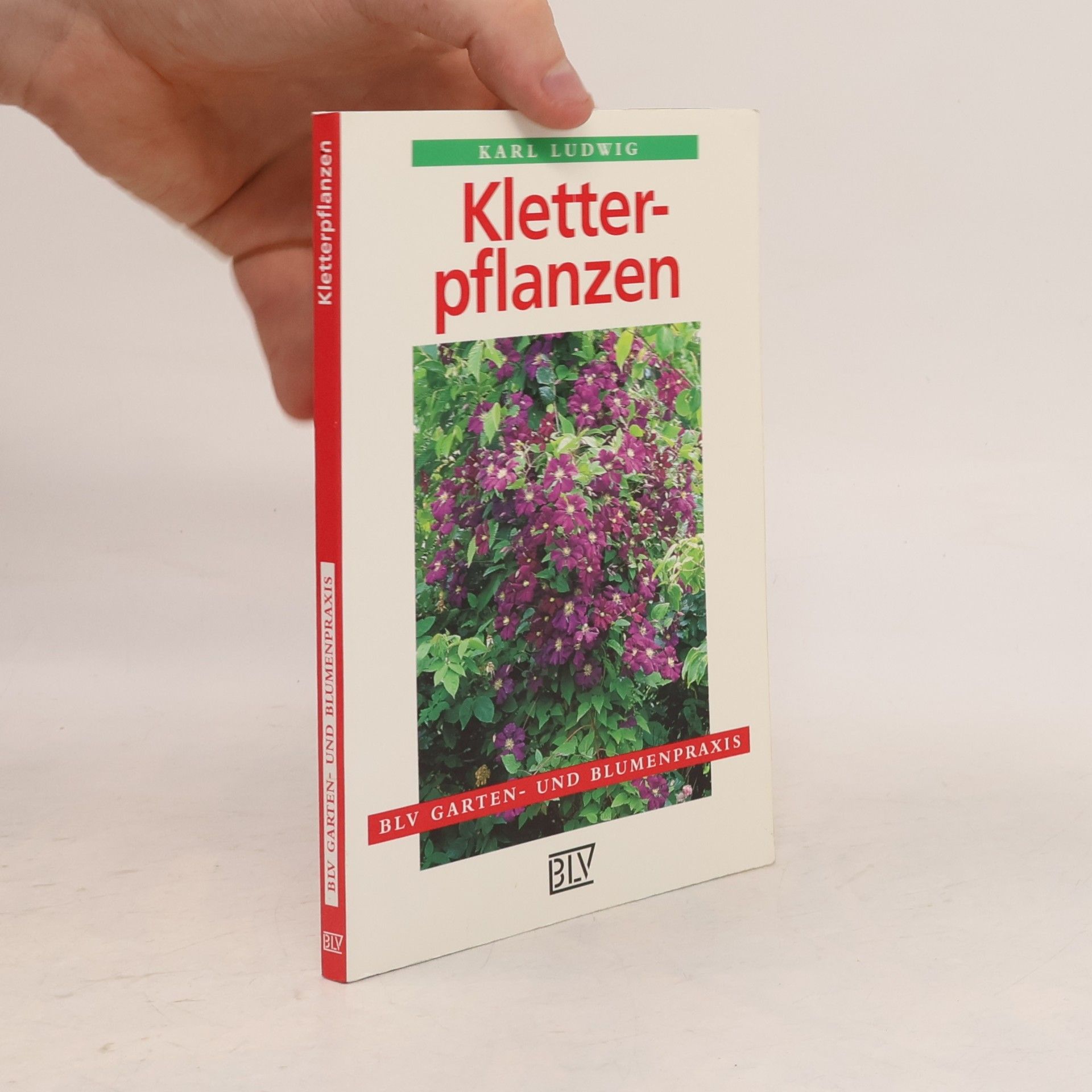 Kletterpflanzen