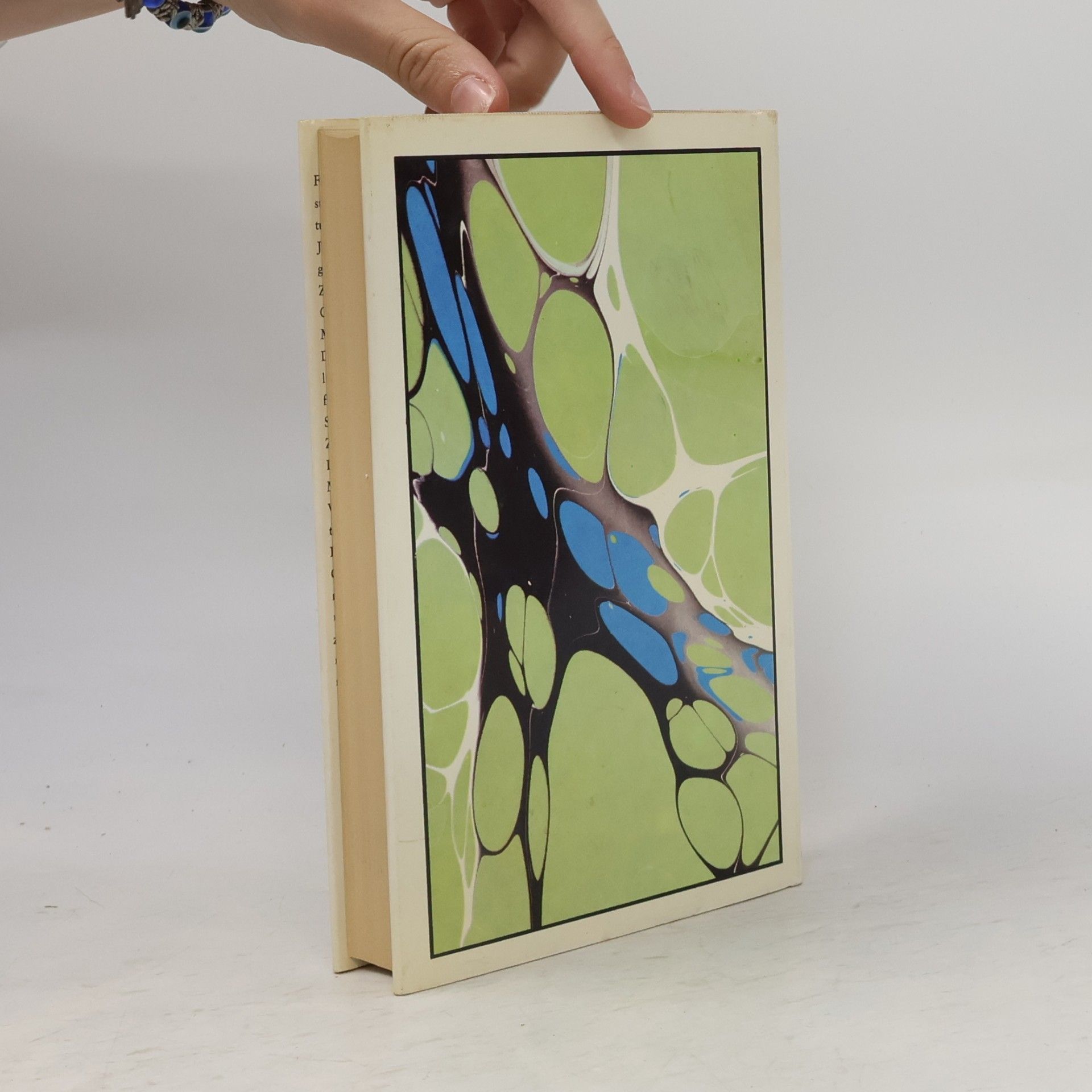 Gerhard Schneider Die schwarze Spinne. Märchendichtung von Goethe bis Anzengruber