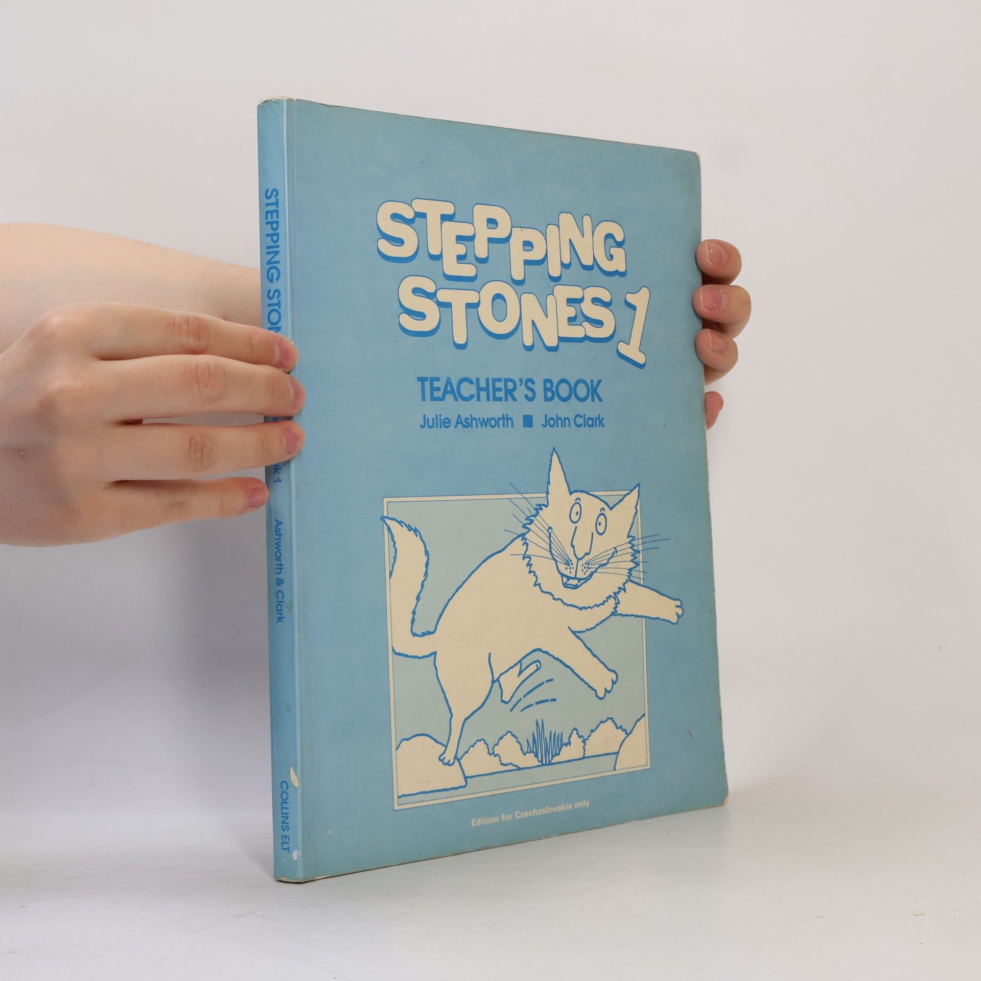 Julie Ashworth Stepping Stones 1