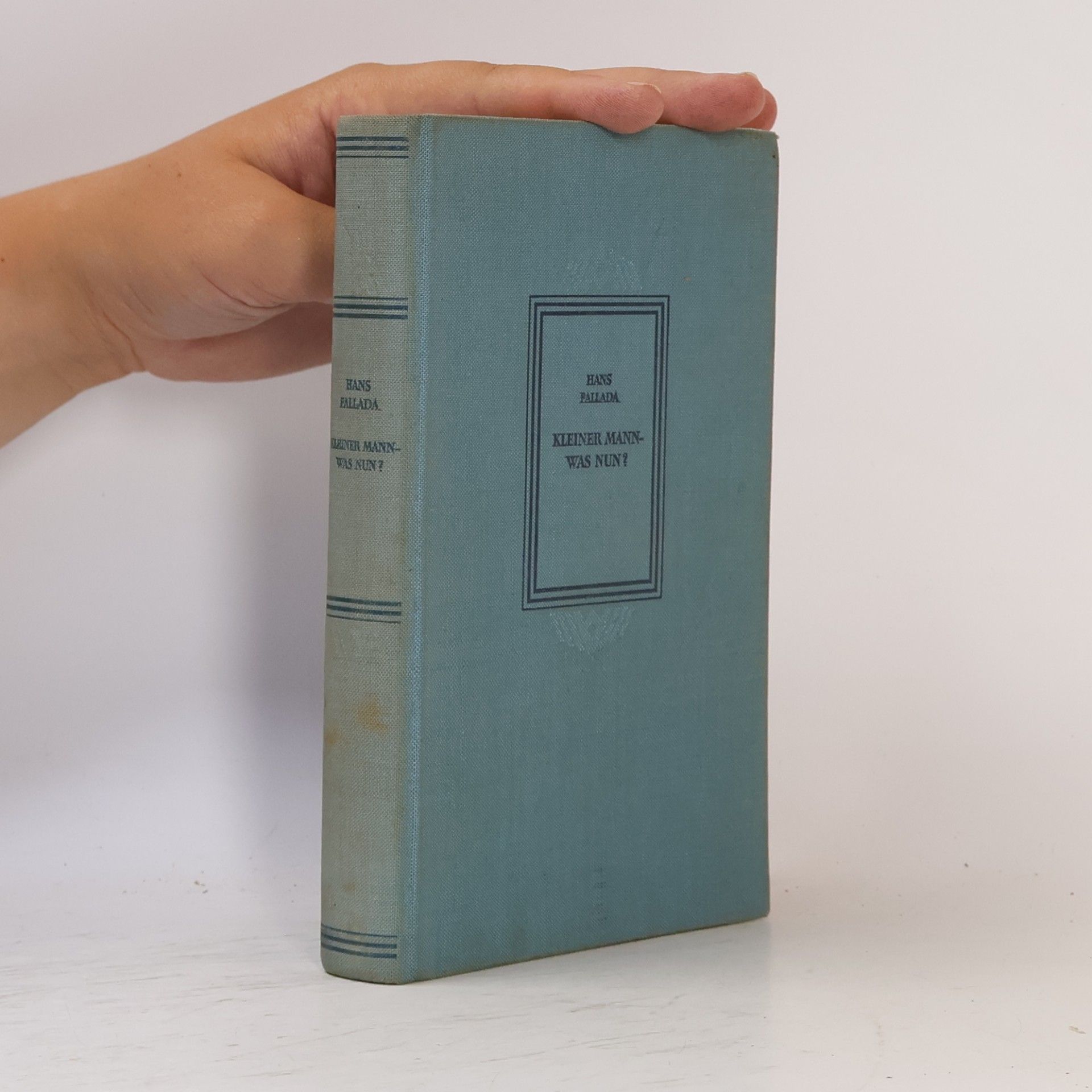 Hans Fallada Kleiner Mann - was nun?