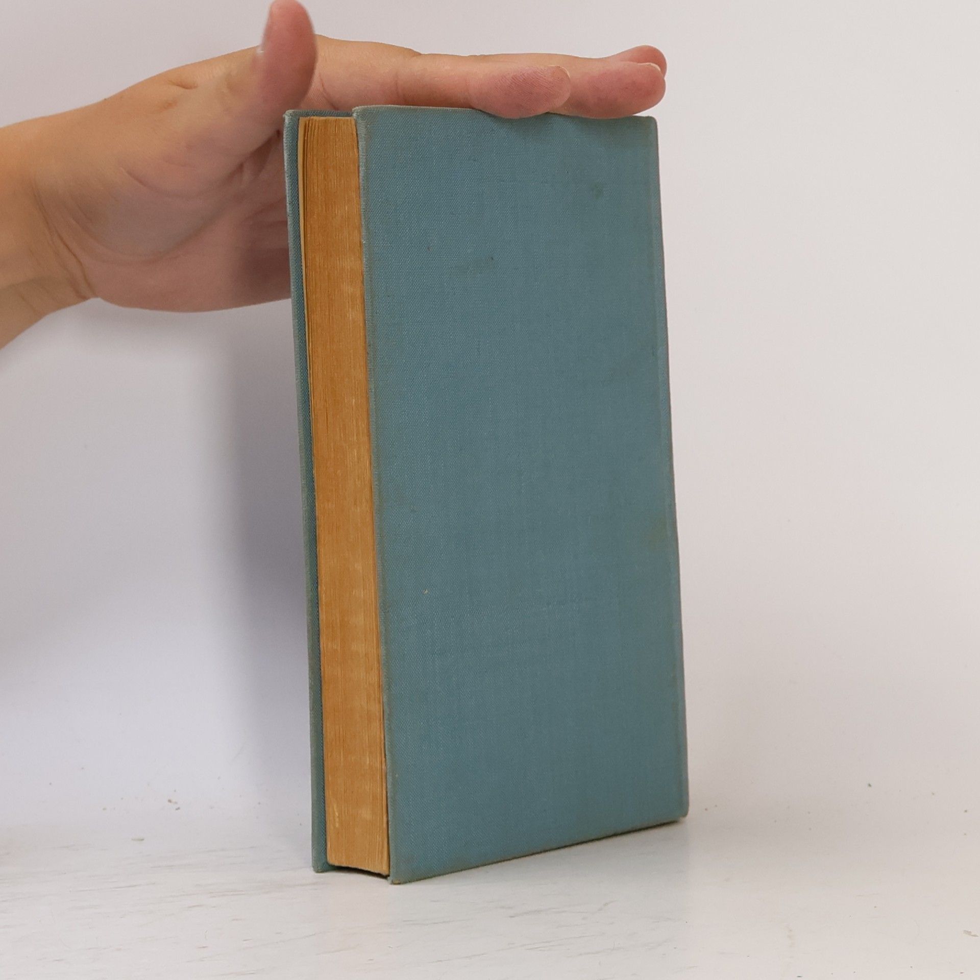 Hans Fallada Kleiner Mann - was nun?