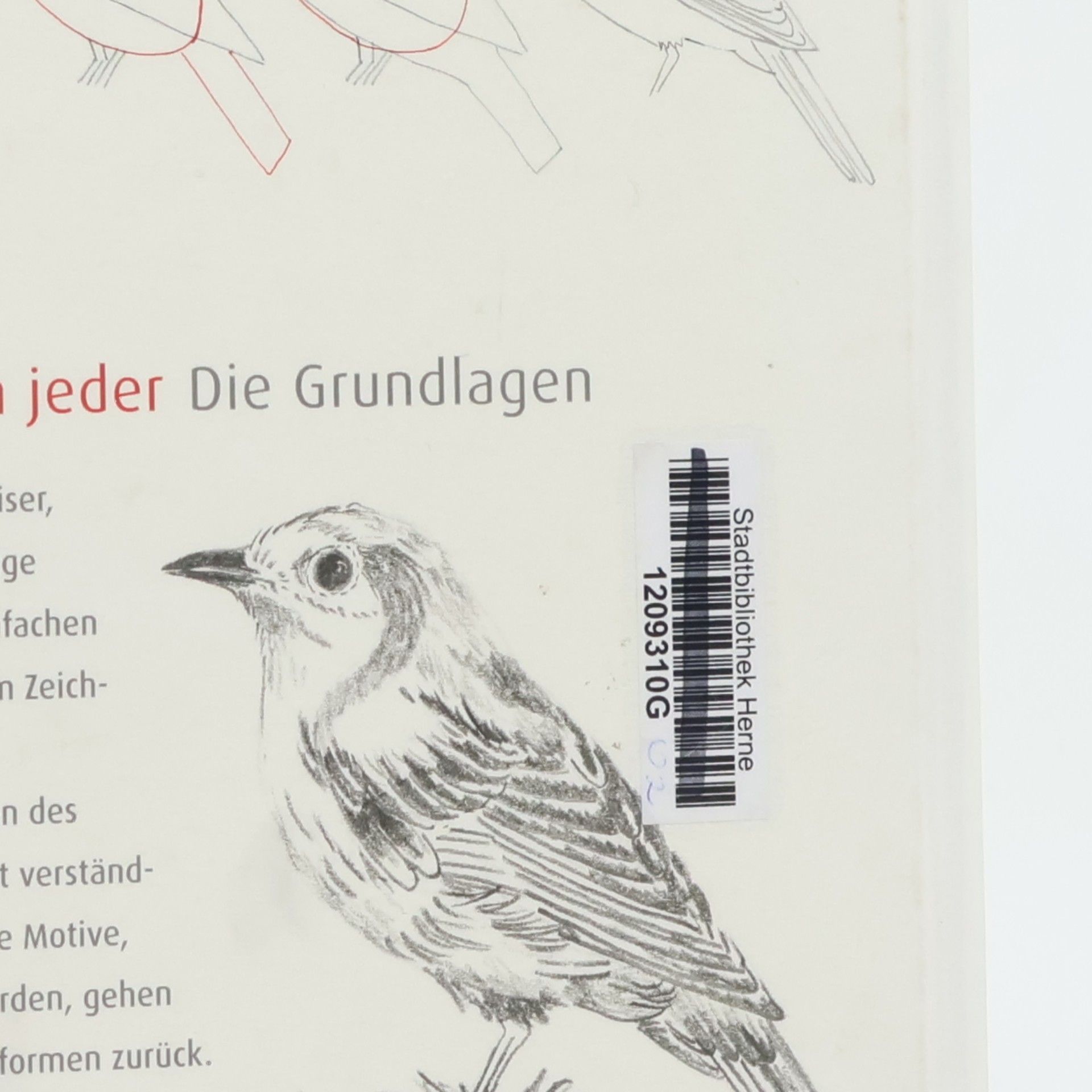 Ute Ludwigsen Kaiser Zeichnen lernen kann jeder - Die Grundlagen