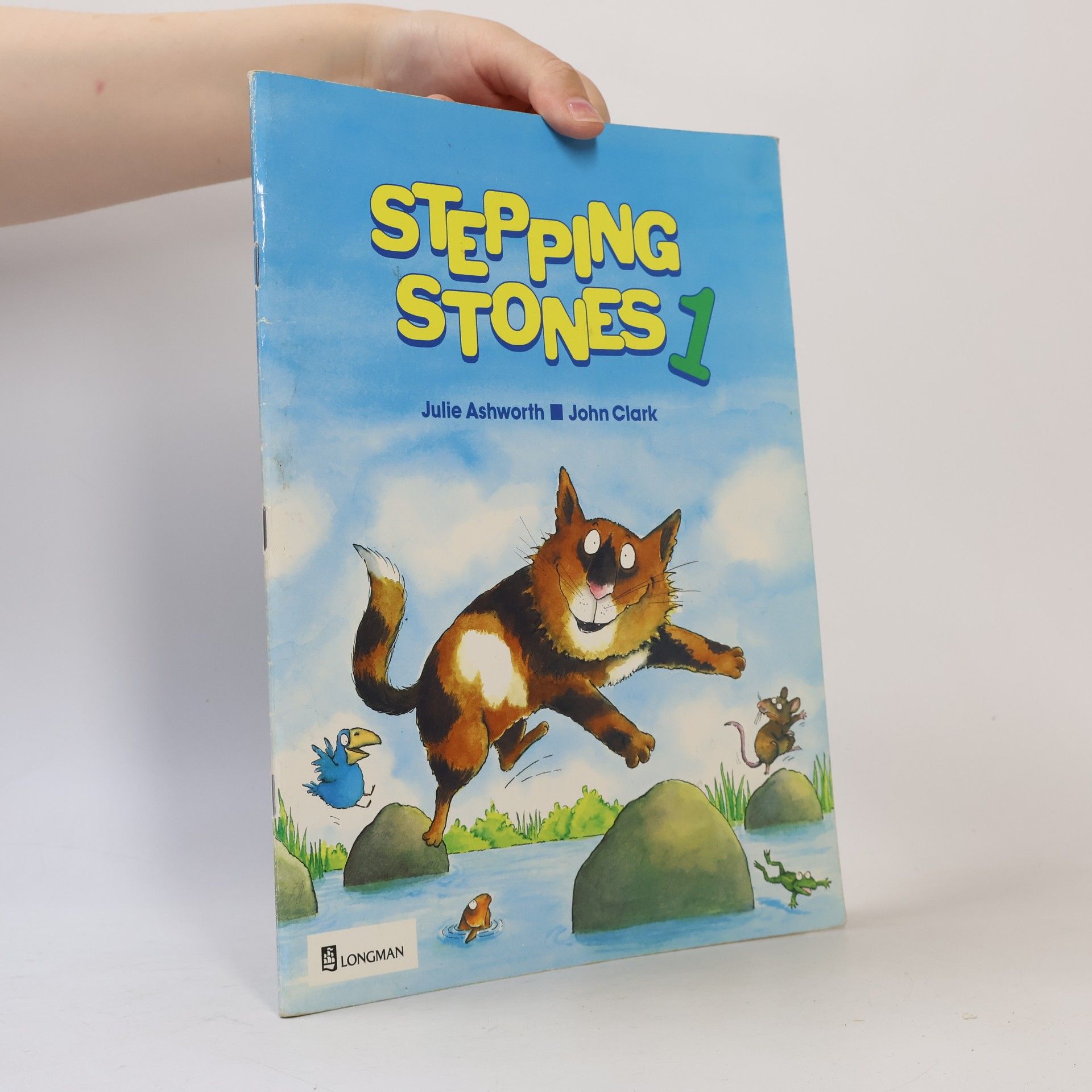 Julie Ashworth Stepping Stones 1