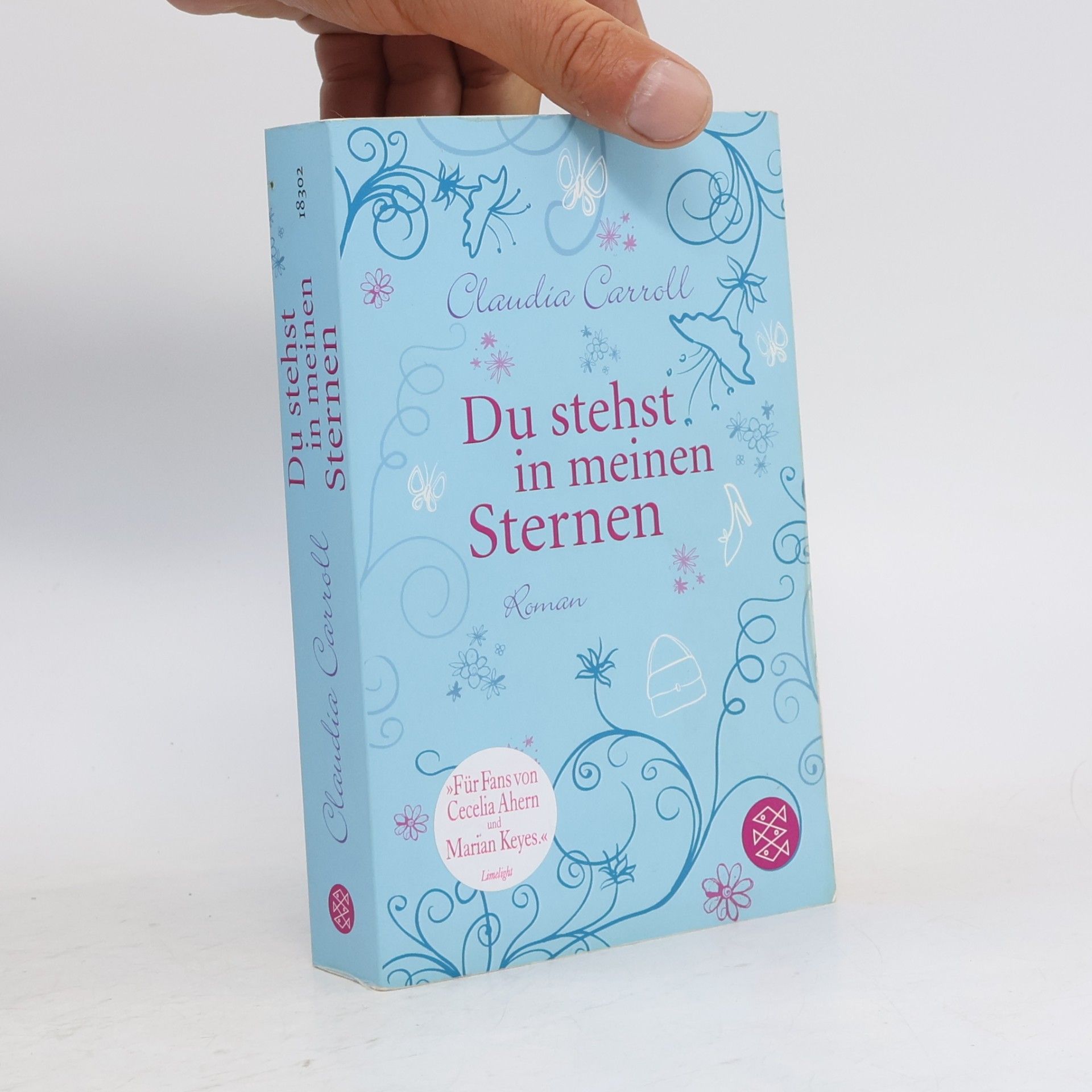 Claudia  Carroll Du stehst in mein Sternen