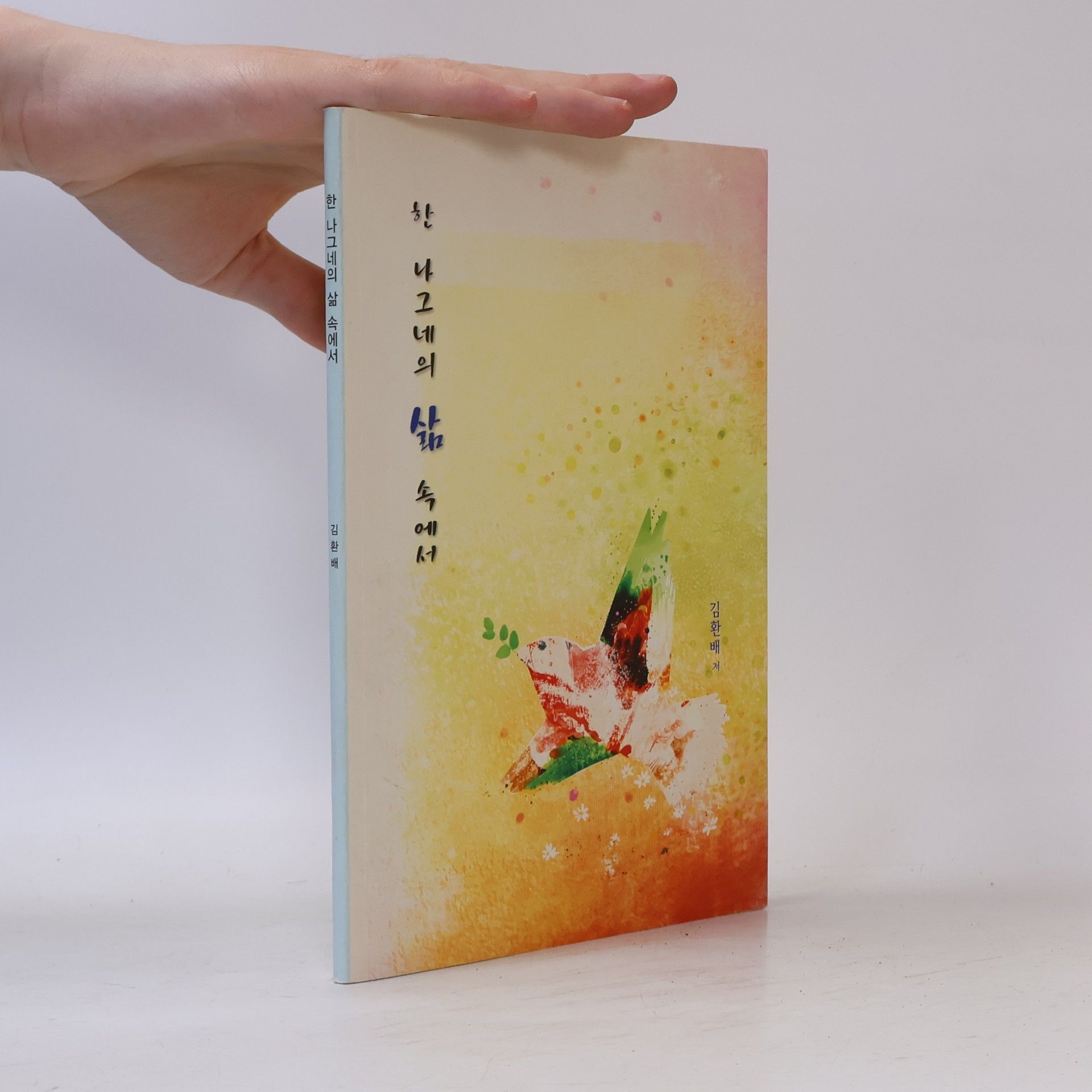 김환배 한 나그네의 삶 속에서