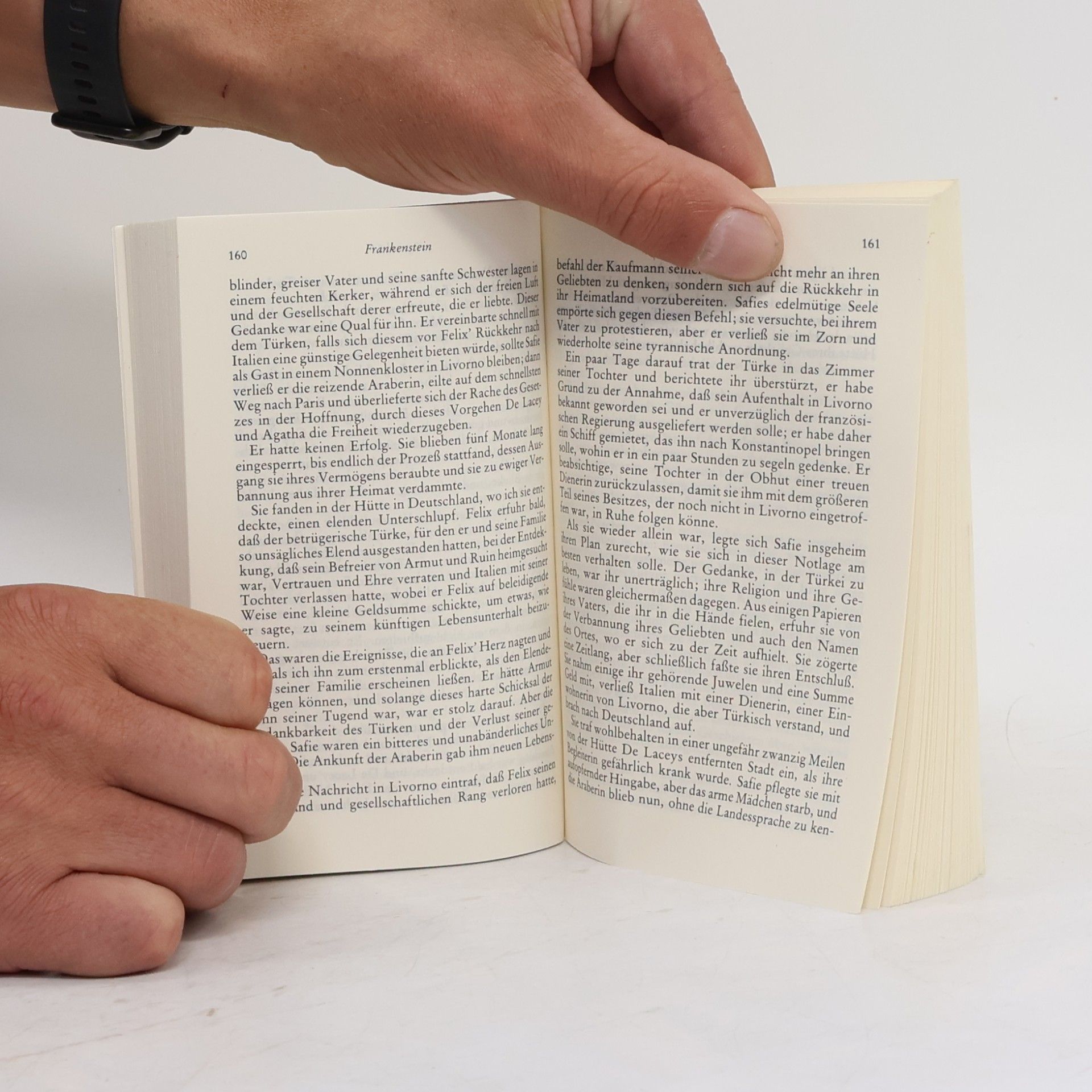 Mary Shelley Frankenstein oder der moderne Prometheus