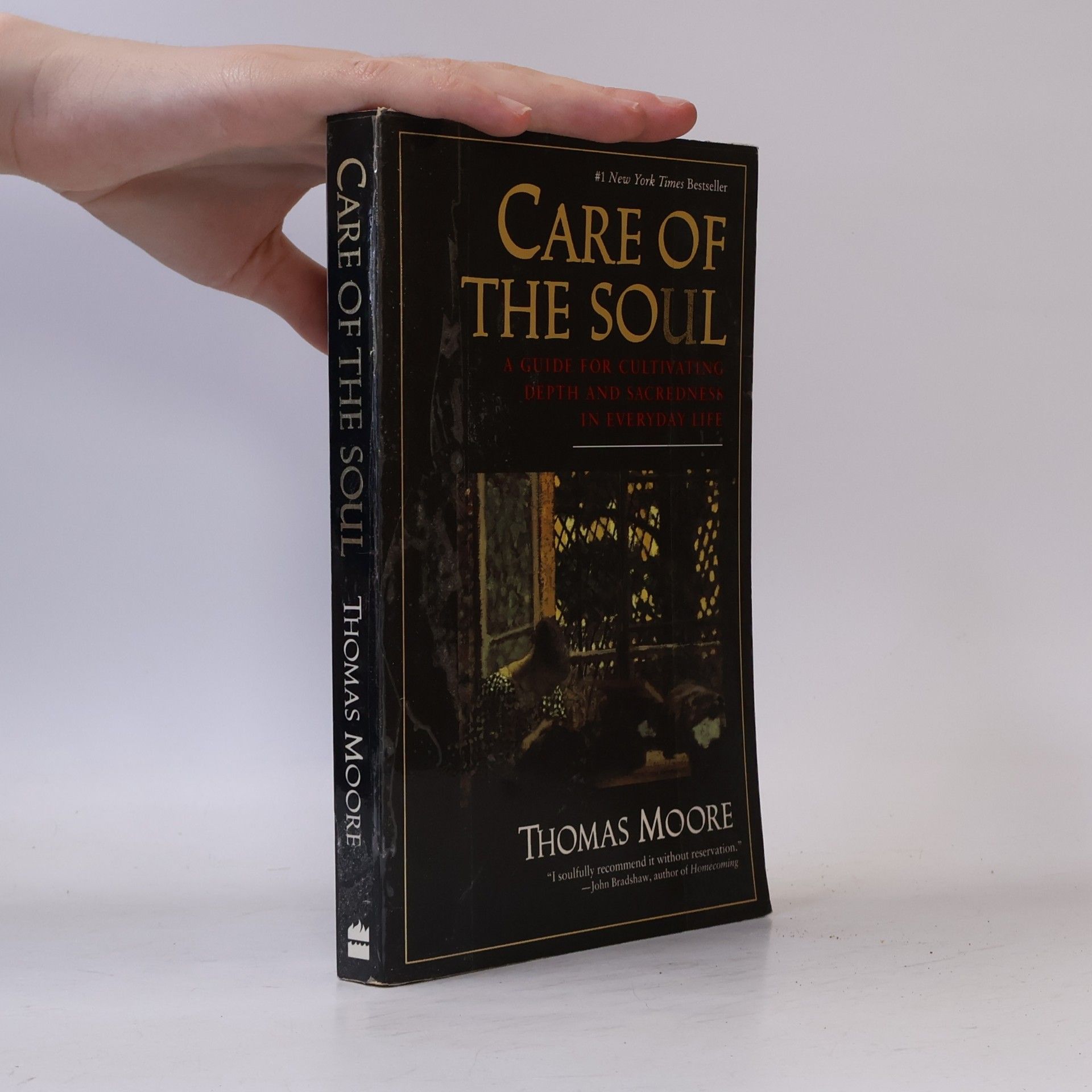 Thomas Moore Care of the soul: A guide for cultivating depth and sacredness in everyday life