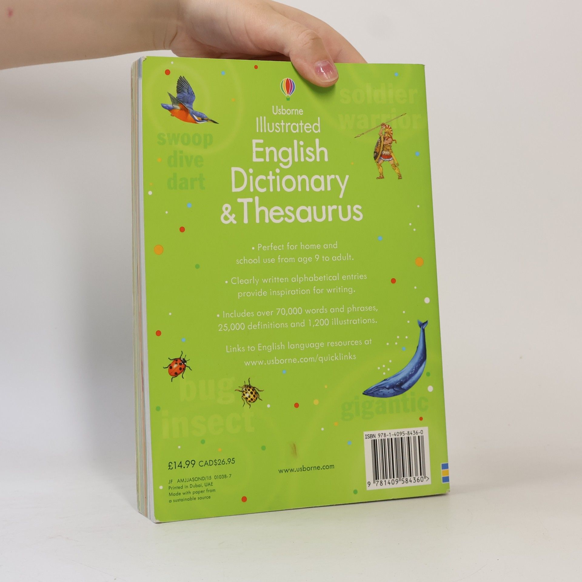 Autorenkollektiv Usborne Illustrated English dictionary & Thesaurus