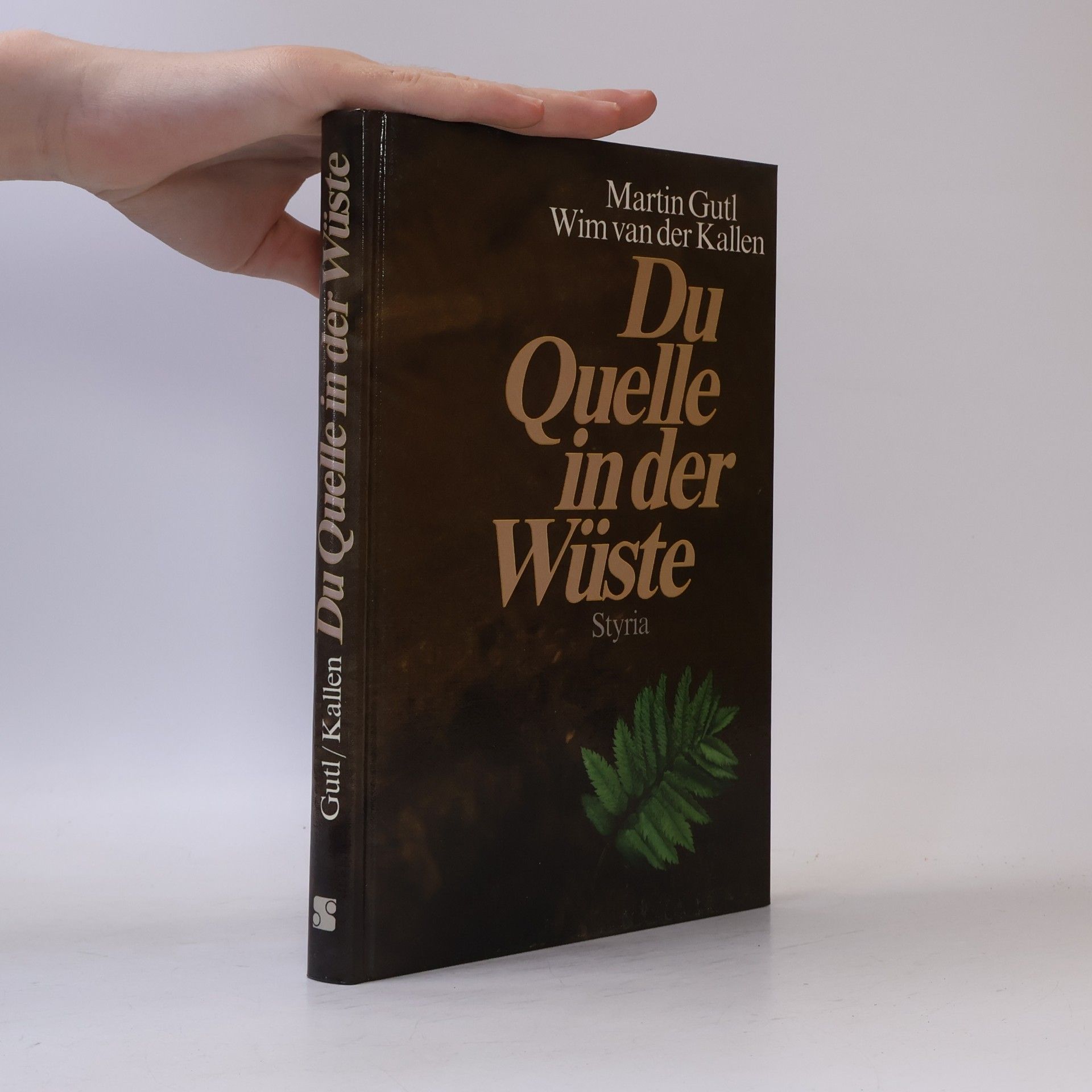 Martin Gutl Du Quelle in der Wüste