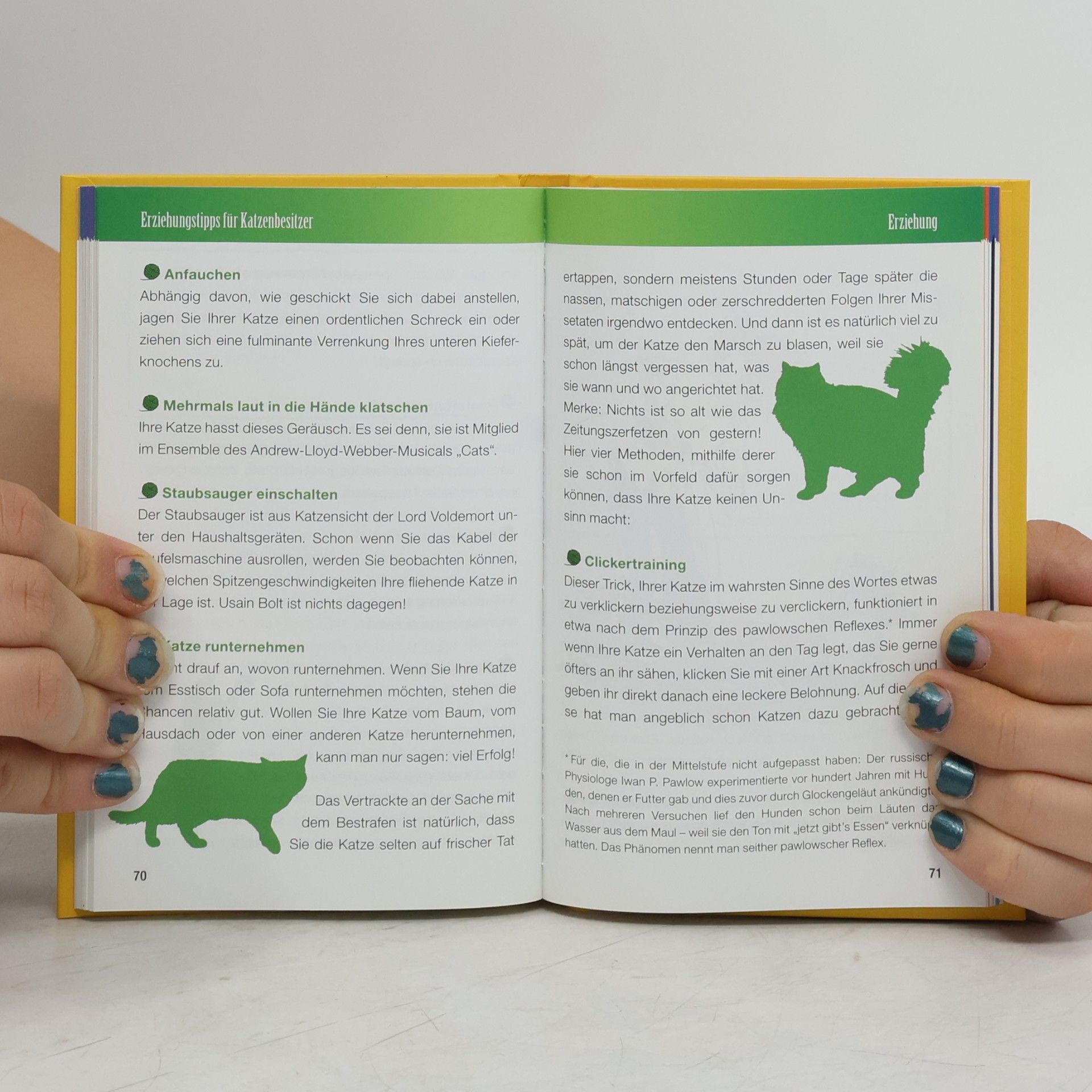 Nina Puri Langenscheidt, Katze-Deutsch, Deutsch-Katze