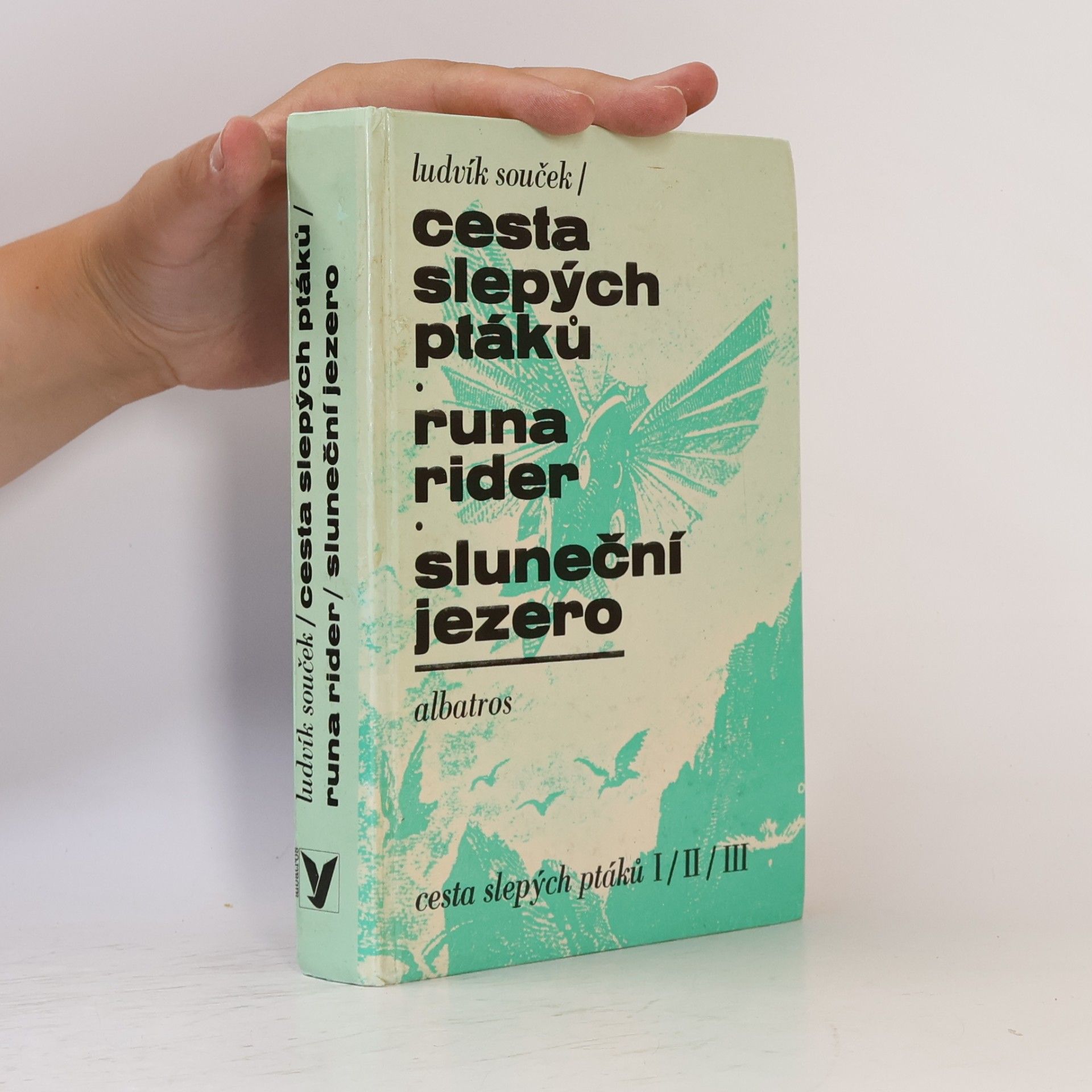 Ludvík Souček Cesta slepých ptáků. Runa rider. Sluneční jezero