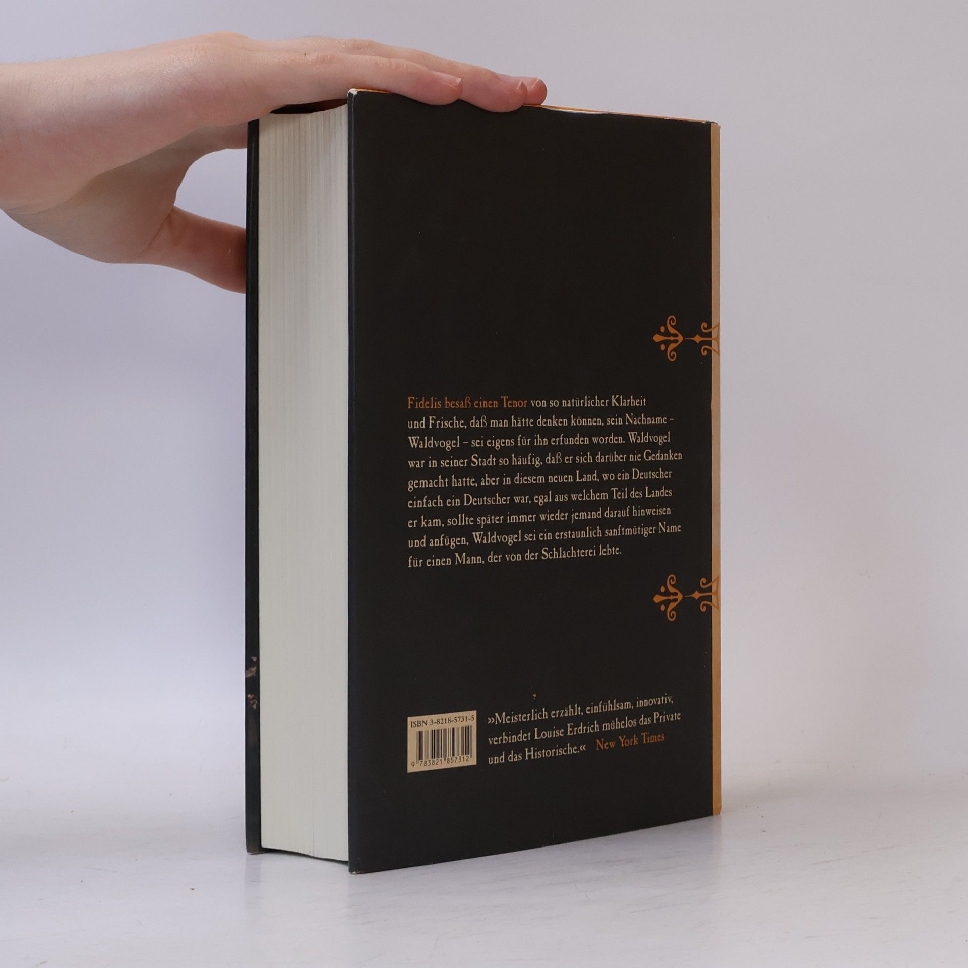 Louise Erdrich Der Gesang des Fidelis Waldvogel