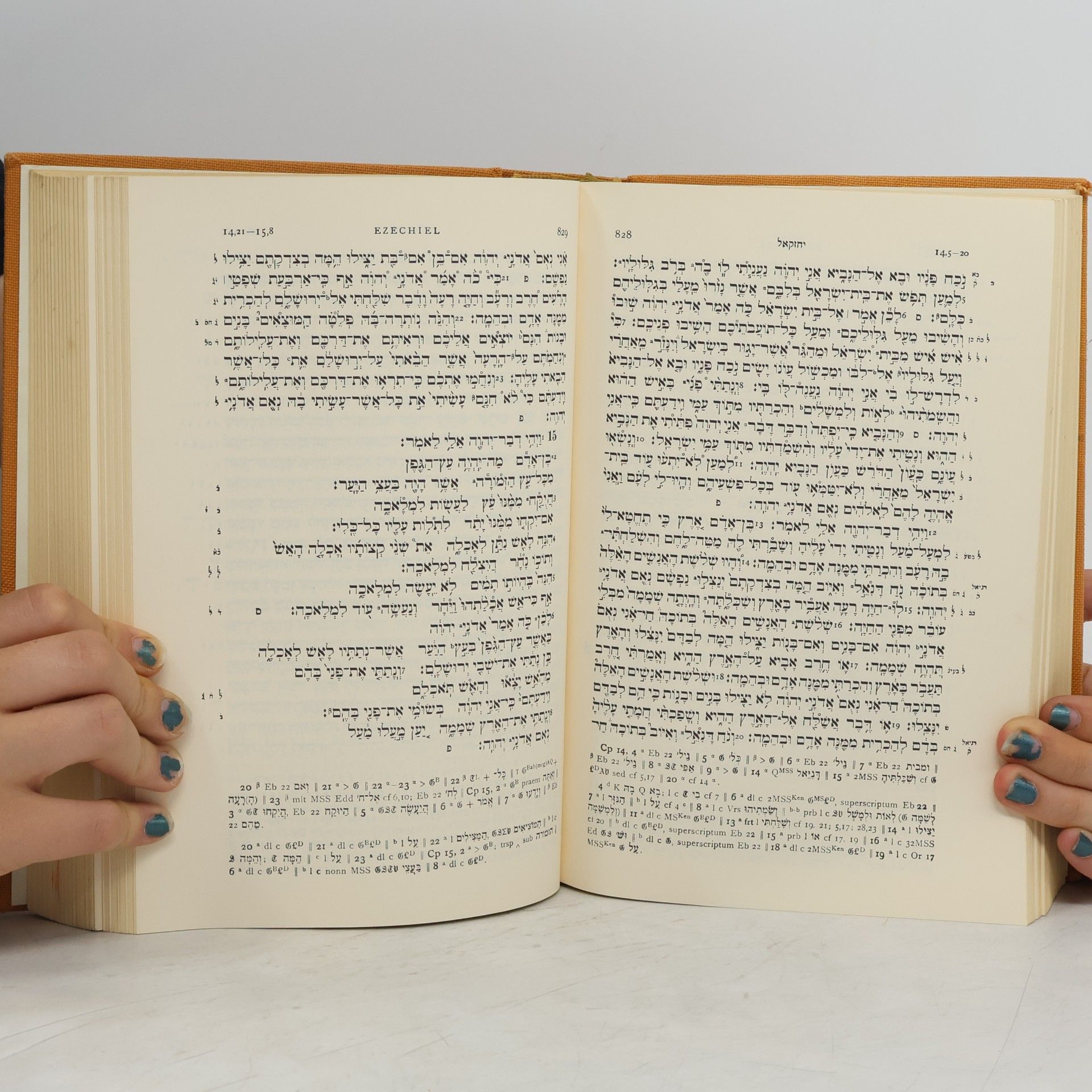 Kolektiv autorů Biblia Hebraica