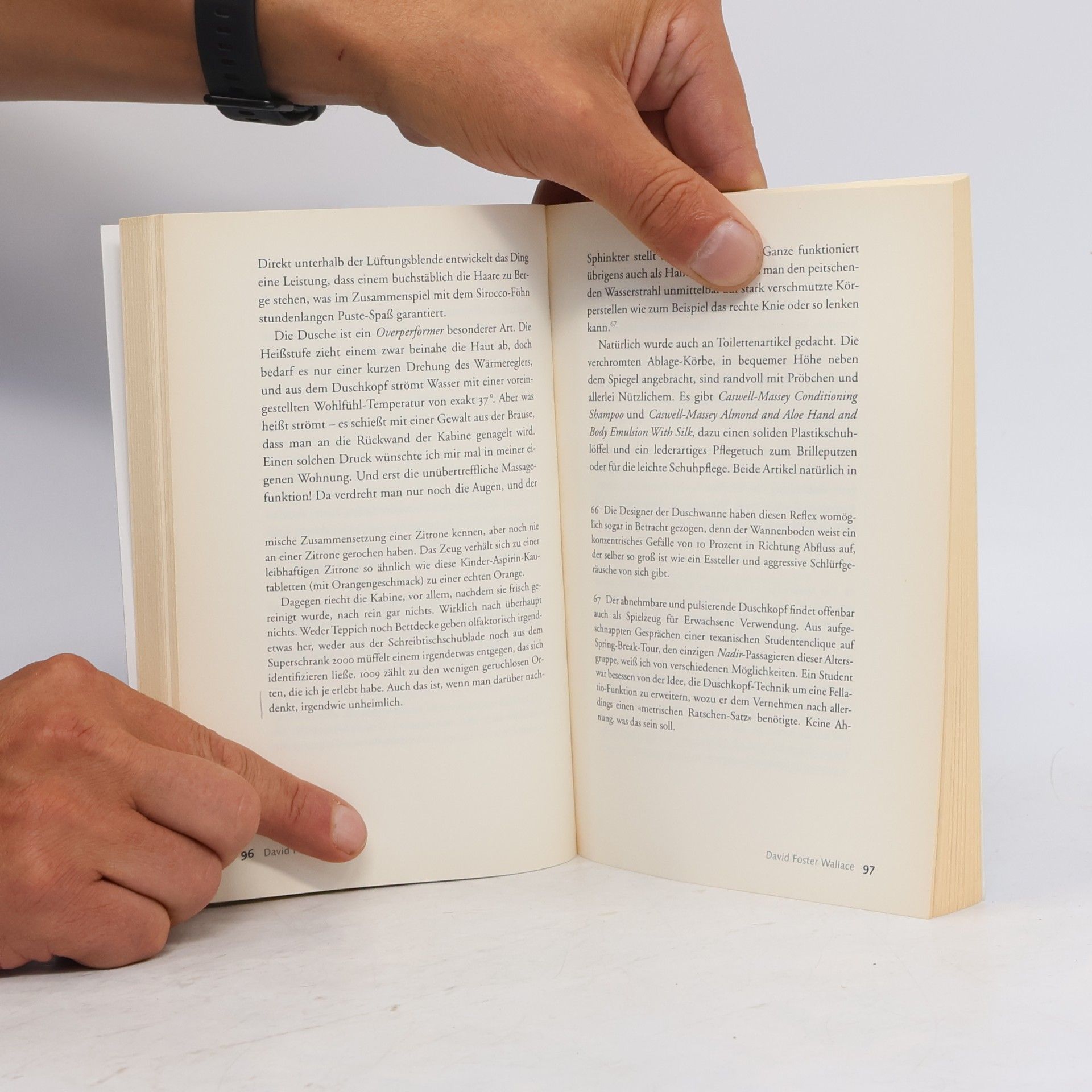 David Foster Wallace Schrecklich amüsant - aber in Zukunft ohne mich