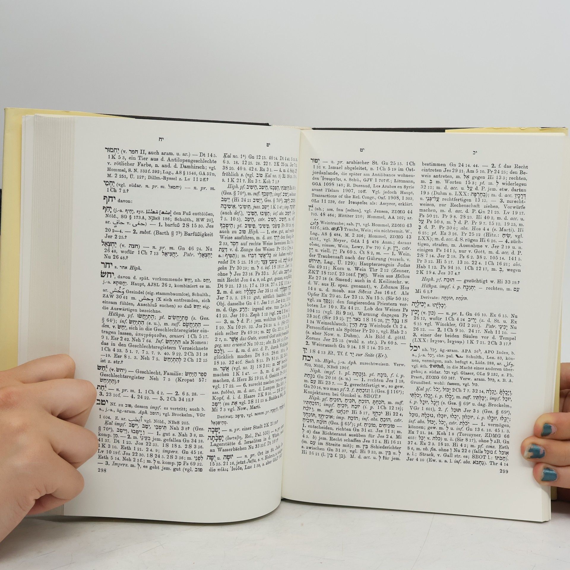 Wilhelm Gesenius Hebräisches und Aramäisches Handwörterbuch über das Alte Testament