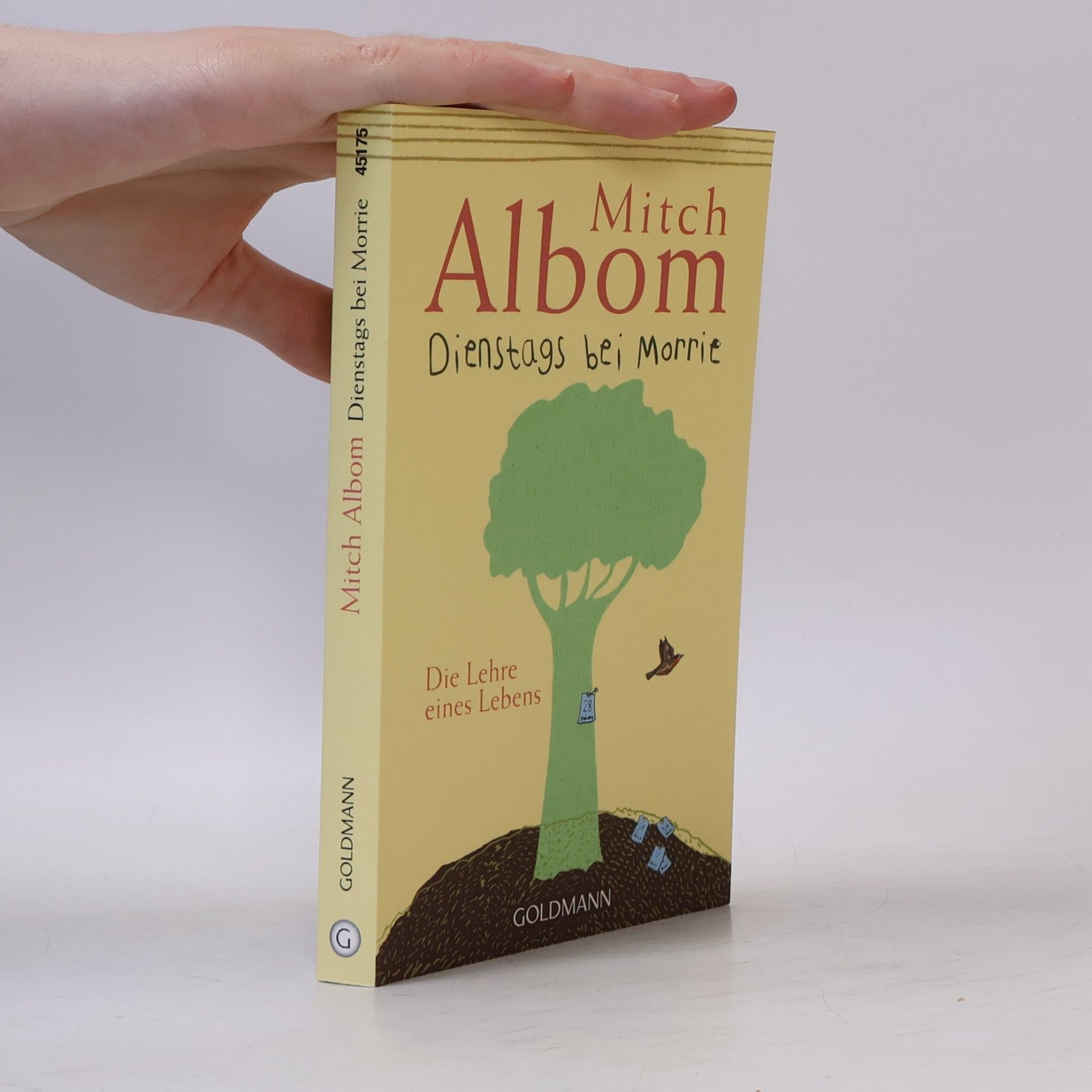 Mitch Albom Dienstags bei Morrie