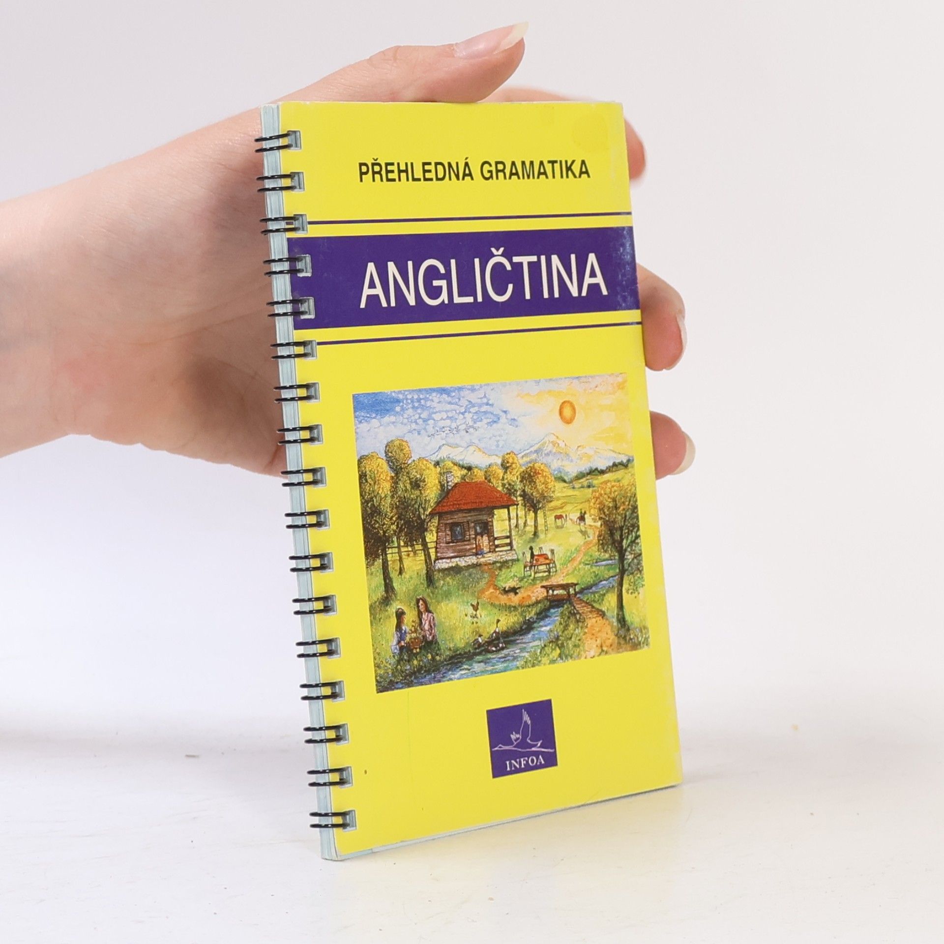 Gary Grabbe Angličtina. Přehledná gramatika