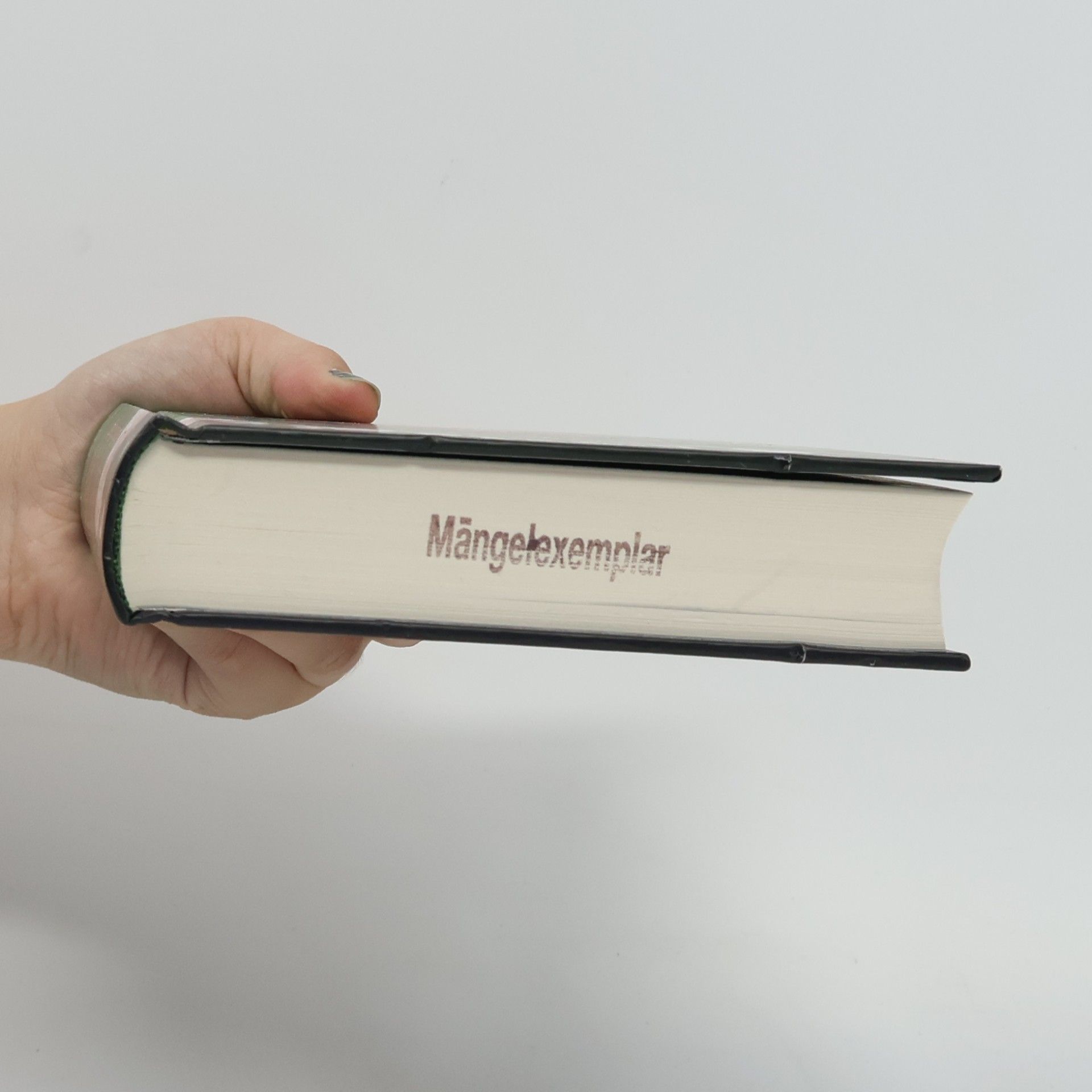 Stefanie Hasse Magic Tales - Wachgeküsst im Morgengrauen