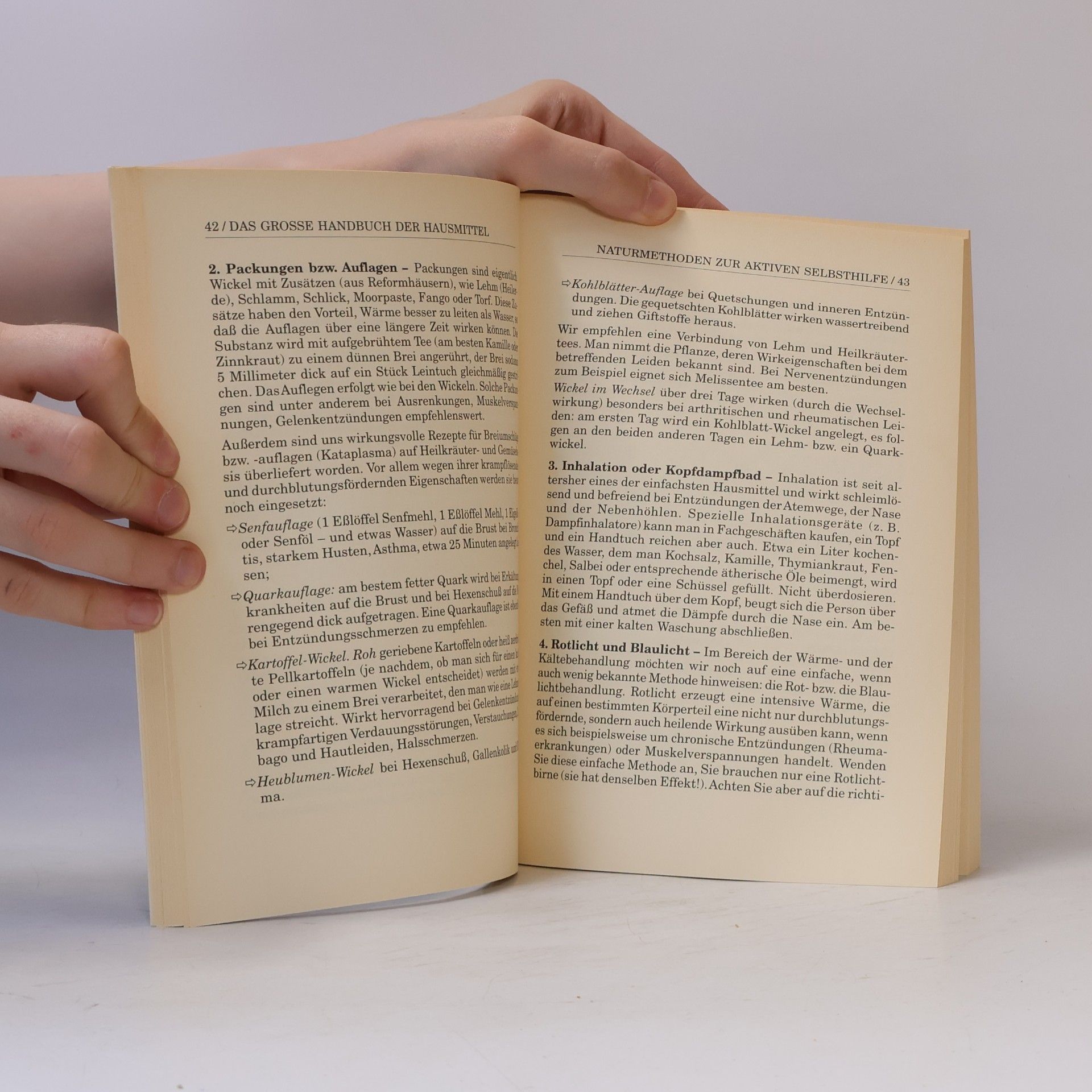 Autorenkollektiv Das Grosse Handbuch der Hausmittel