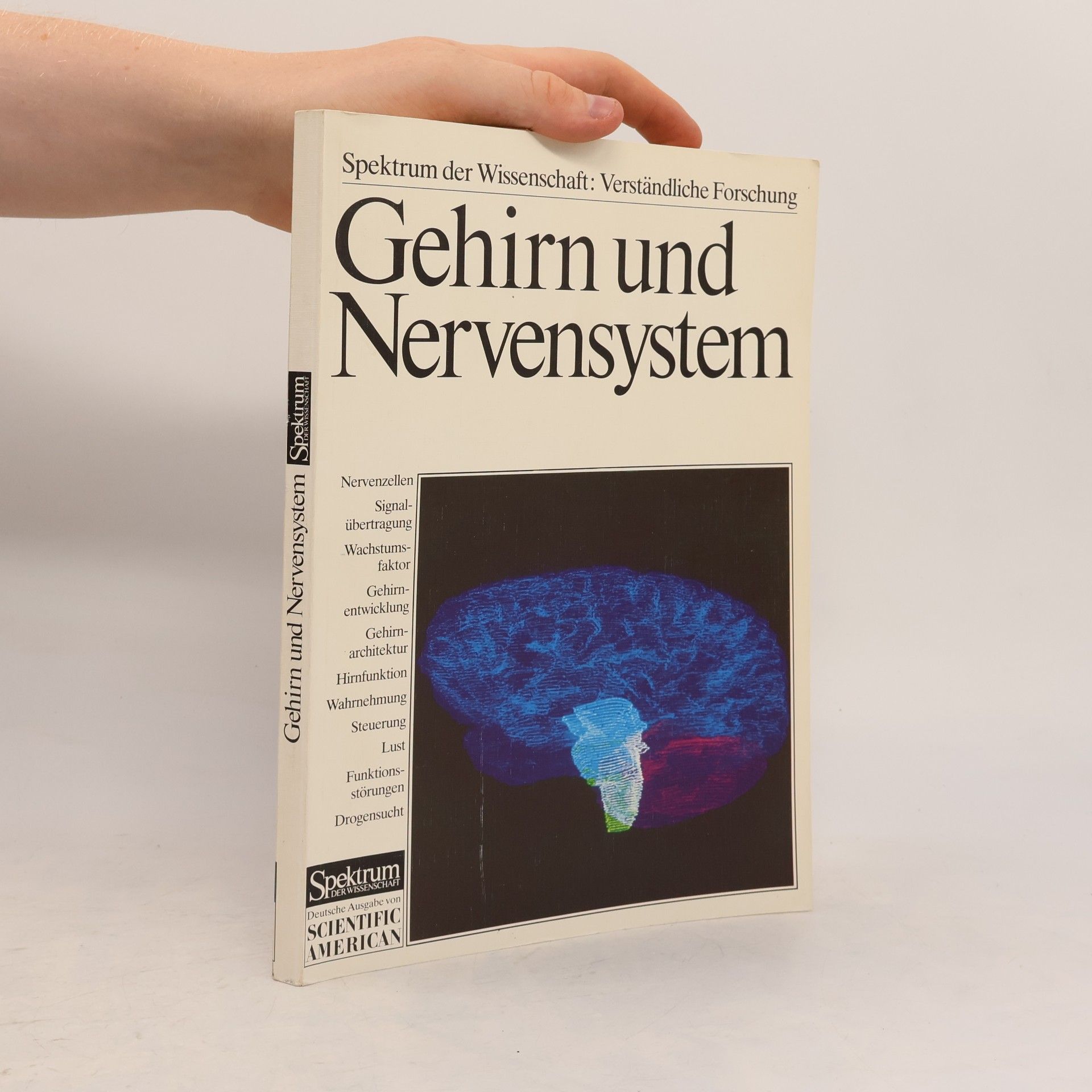 Autorenkollektiv Gehirn und Nervensystem