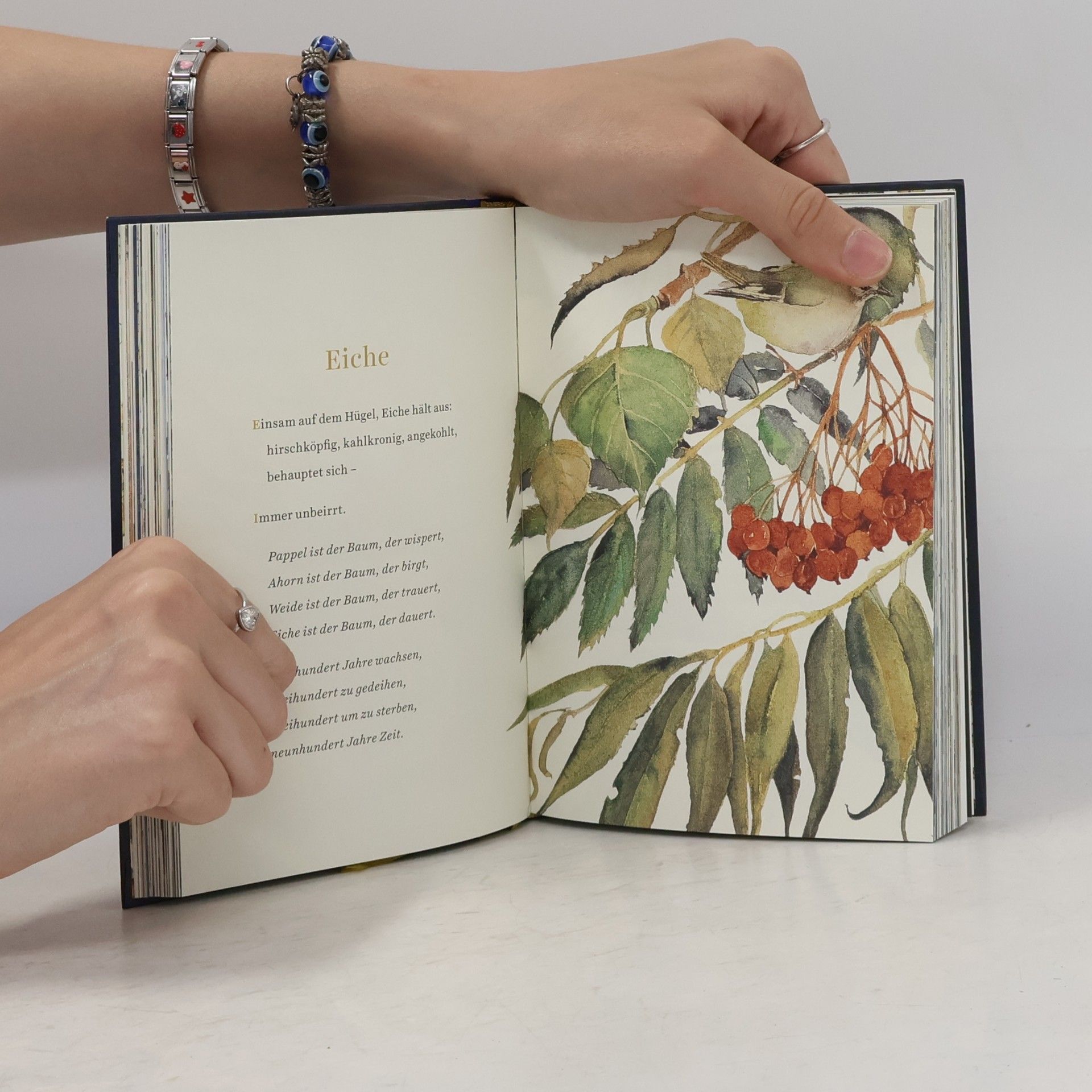 Robert Macfarlane Die verlorenen Zaubersprüche