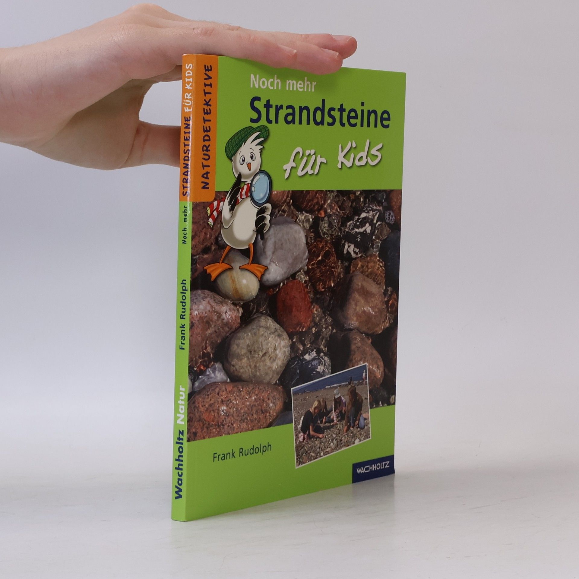 Frank Rudolph Naturdetektive: Noch mehr Strandsteine für Kids