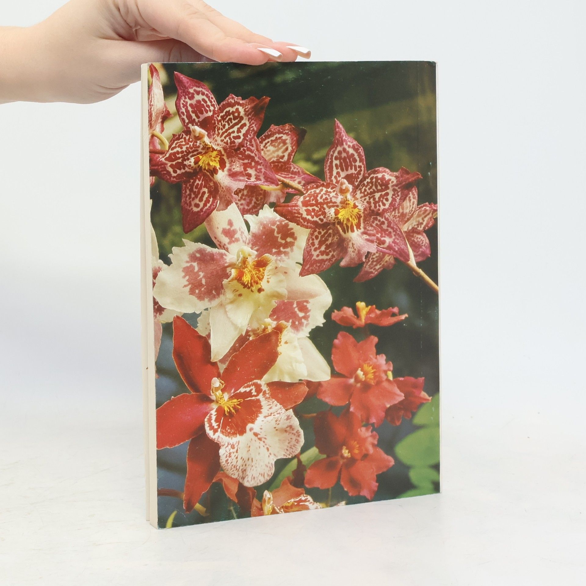 Jiří Gut Orchideje a jejich bytová kultura
