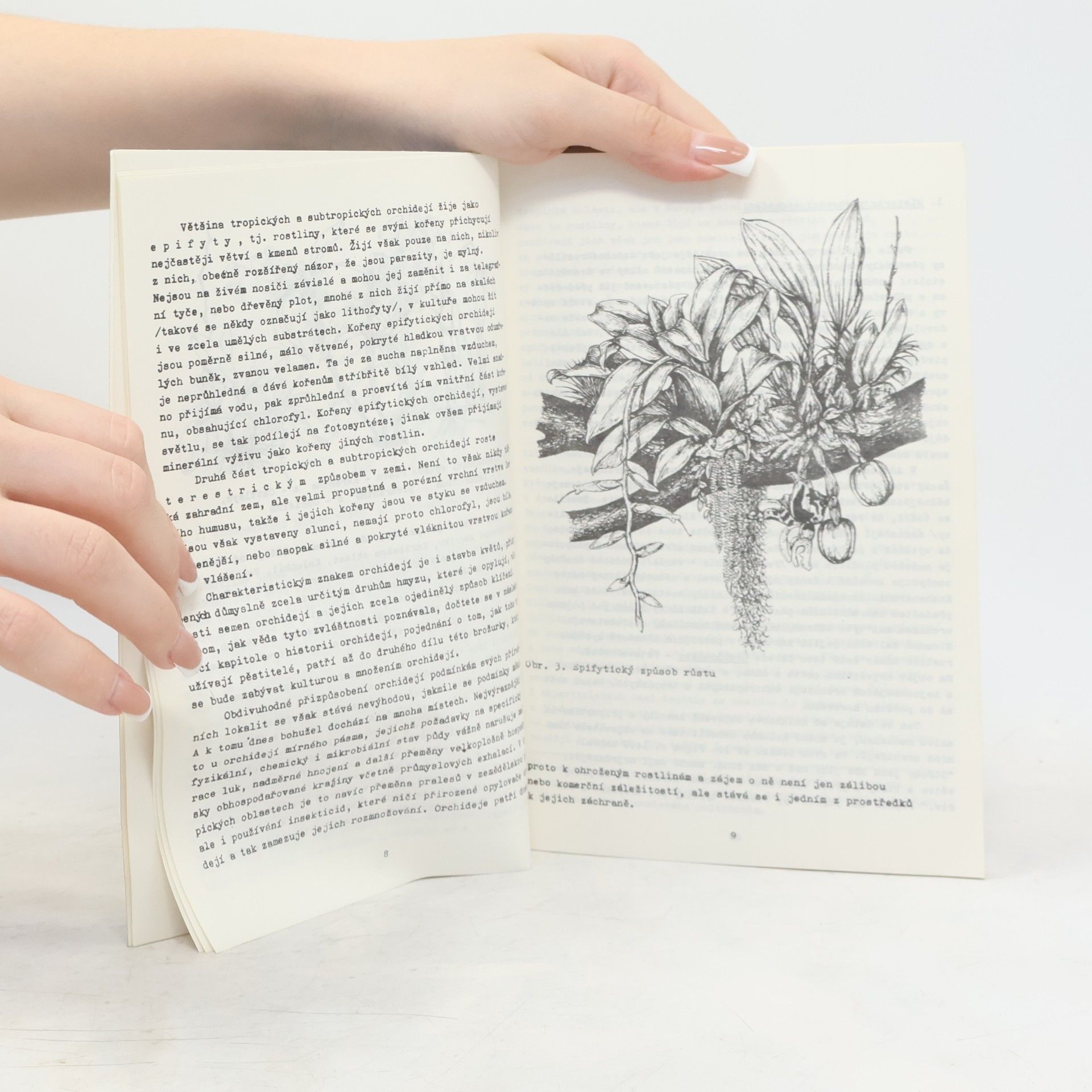 Jiří Gut Orchideje a jejich bytová kultura