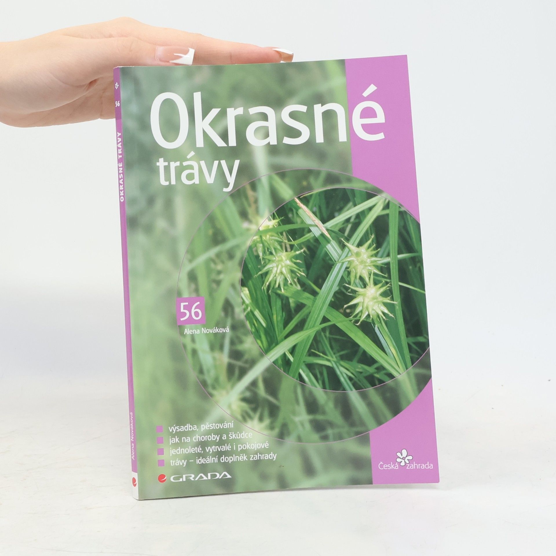 Alena Nováková Okrasné trávy