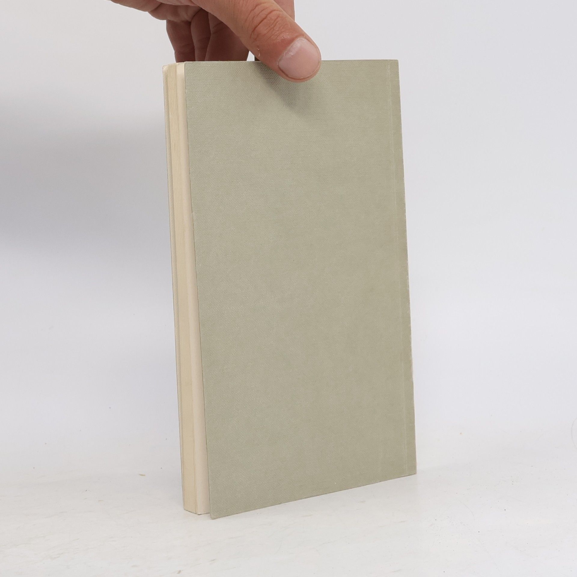 Migner Karl Uwe Johnson: Das dritte Buch über Achim. Interpretation