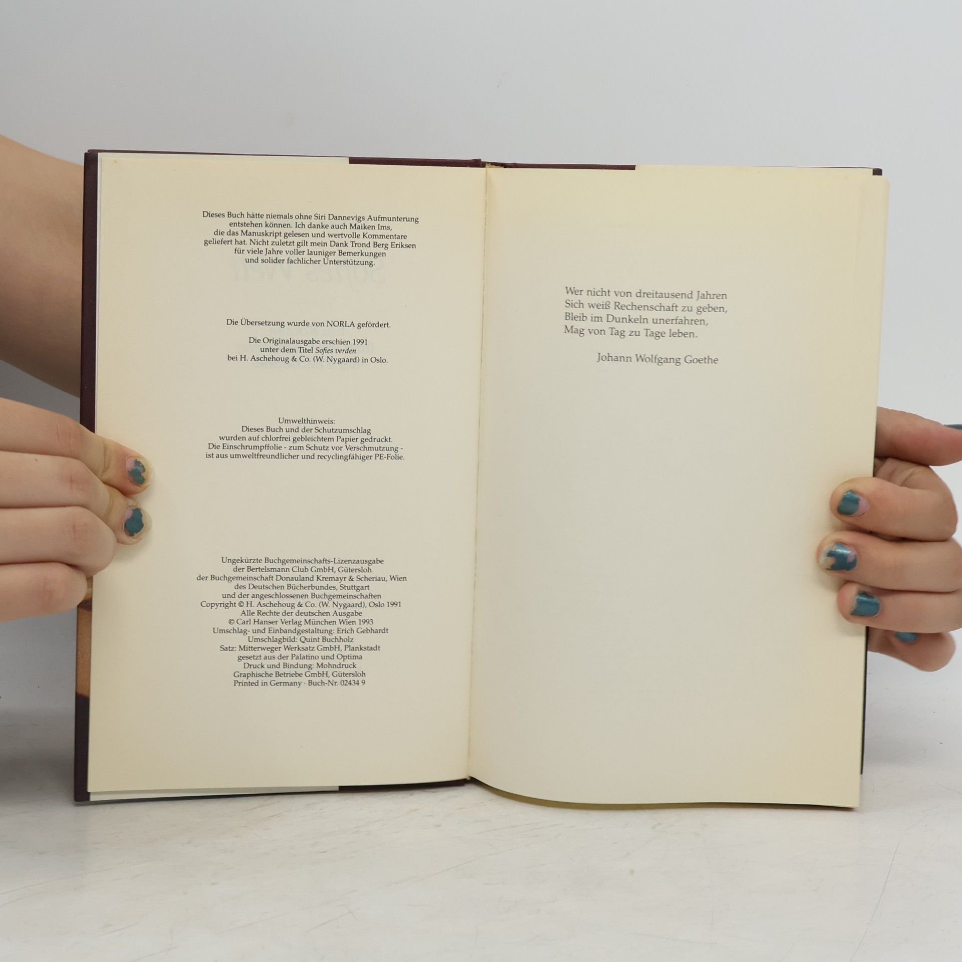 Jostein Gaarder Sofies Welt